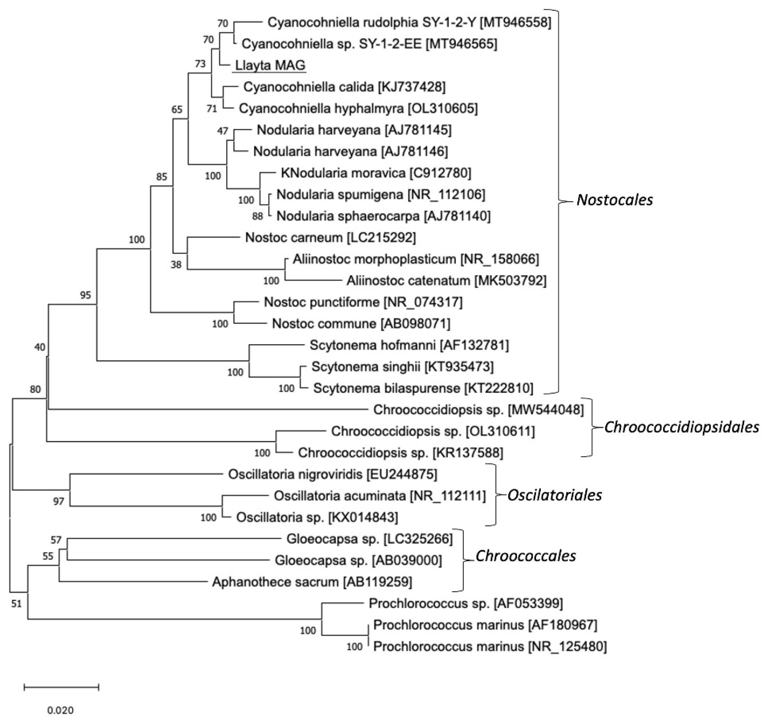 Microorganisms 10 01517 g001 550