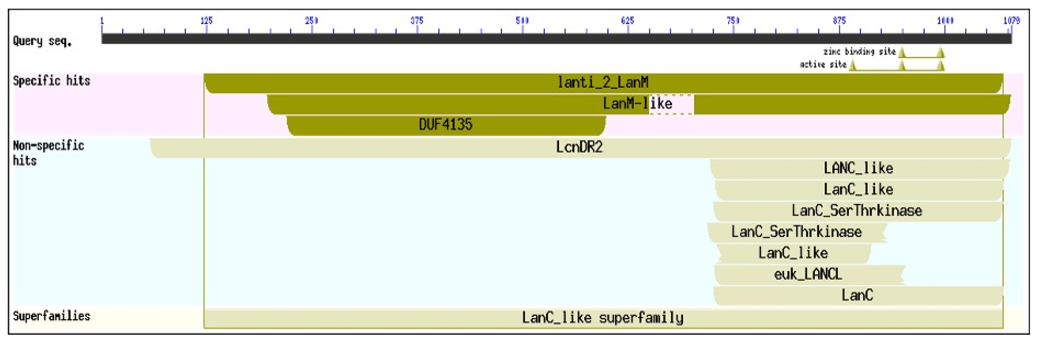 Microorganisms 10 01517 g002 550