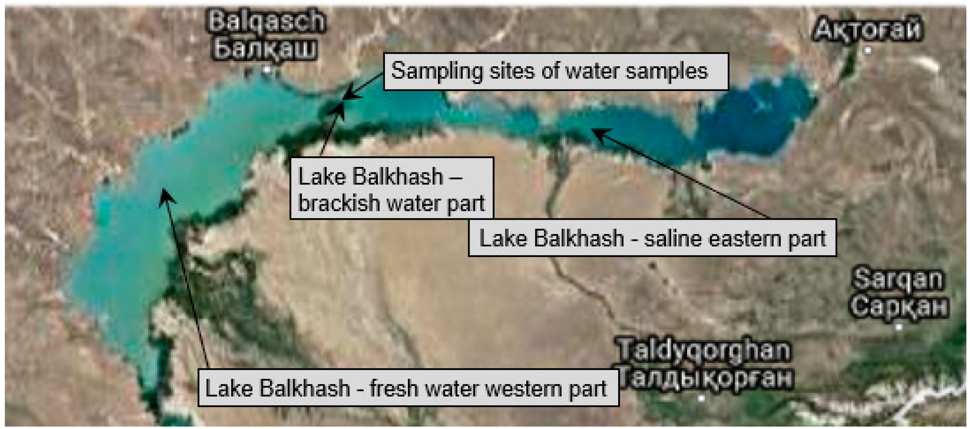 Microorganisms 10 01519 g001 Microorganisms 10 01519 g001