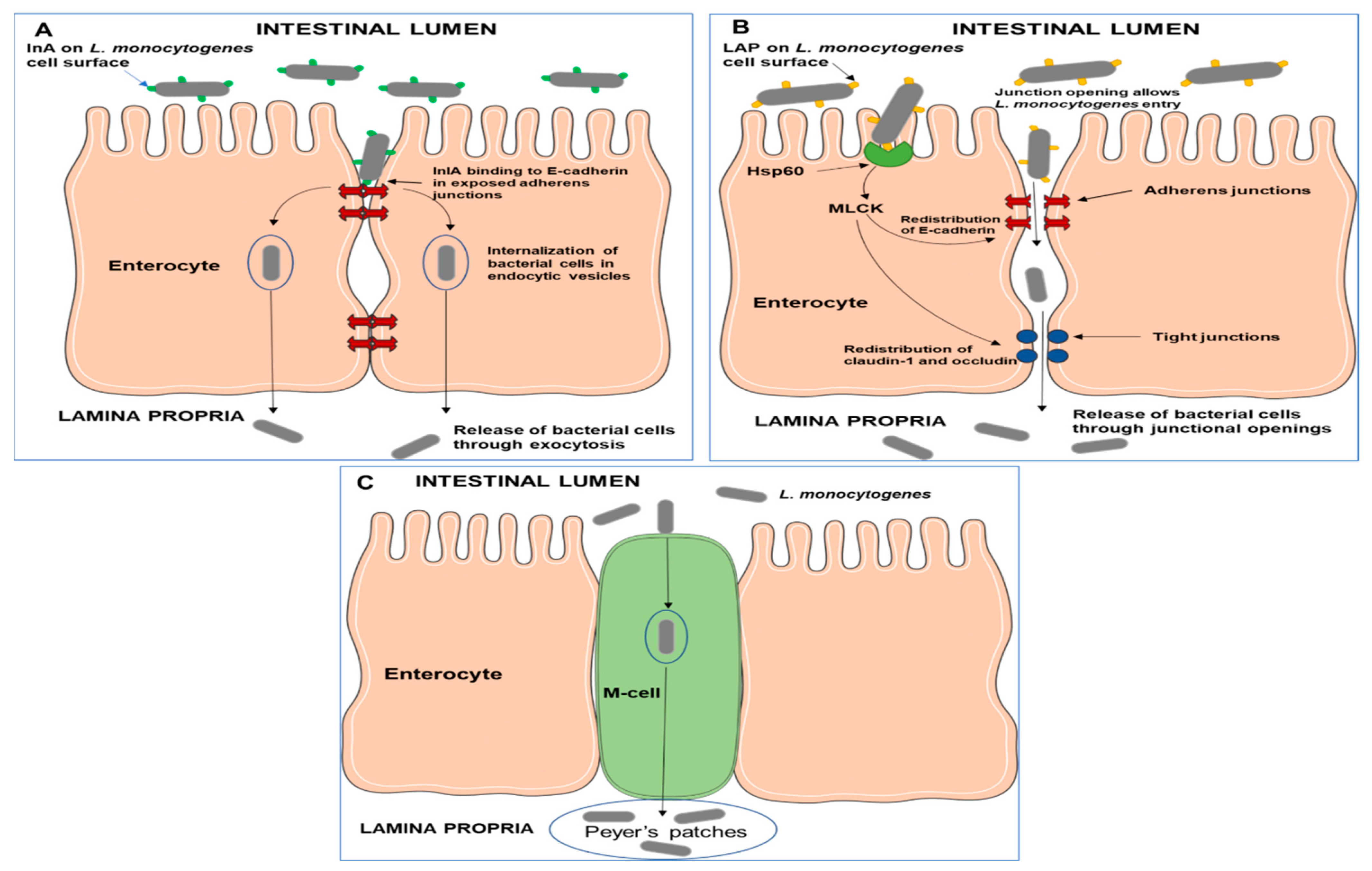 Microorganisms 10 01522 g002 Microorganisms 10 01522 g002