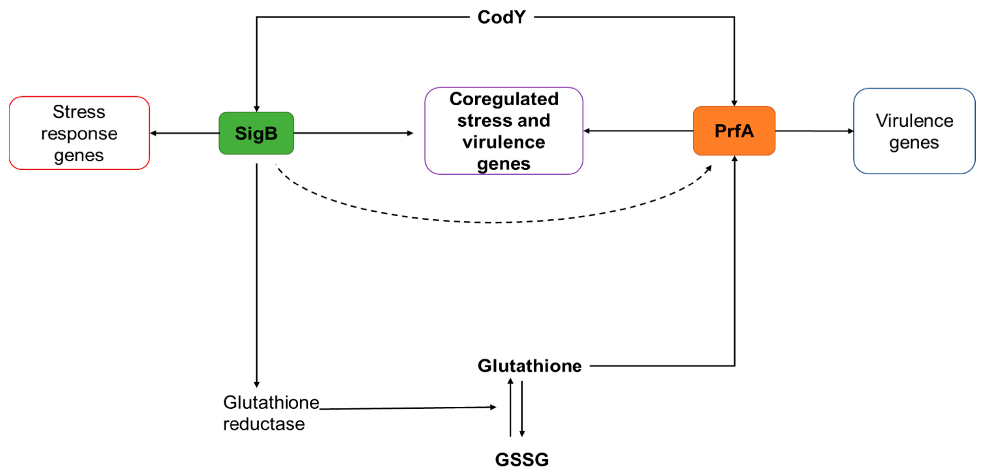 Microorganisms 10 01522 g005 Microorganisms 10 01522 g005
