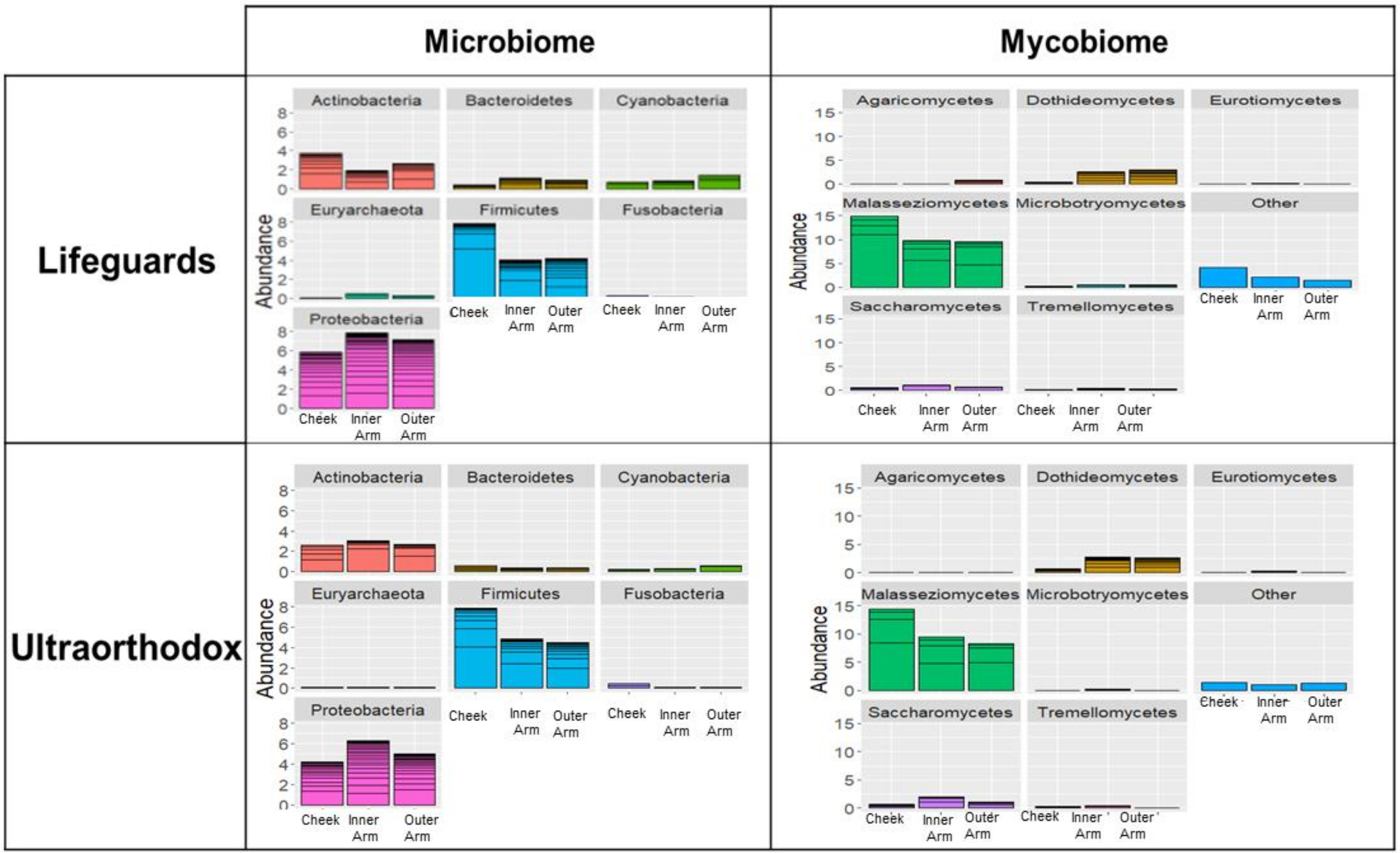 Microorganisms 10 01523 g001