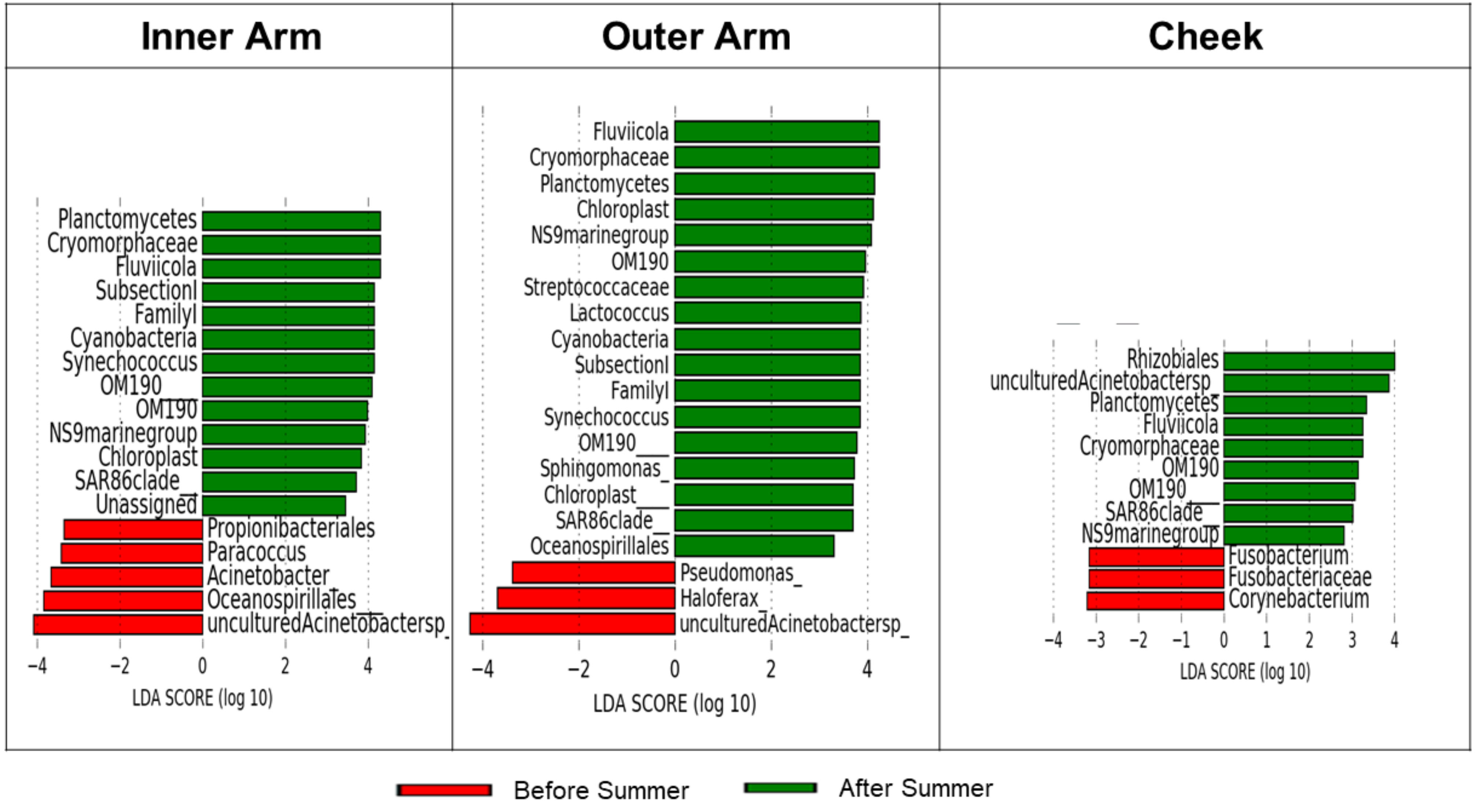 Microorganisms 10 01523 g006