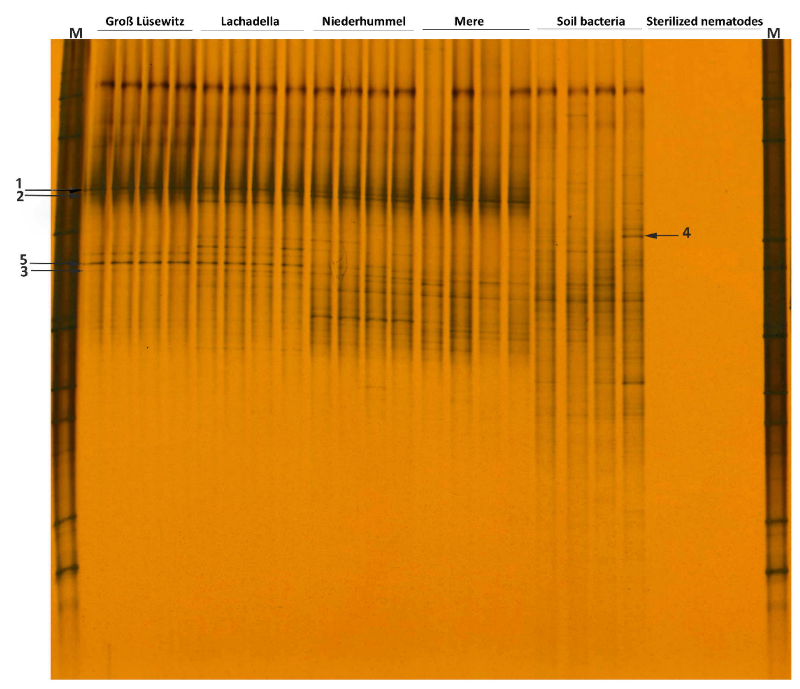 Microorganisms 10 01524 g002 Microorganisms 10 01524 g002