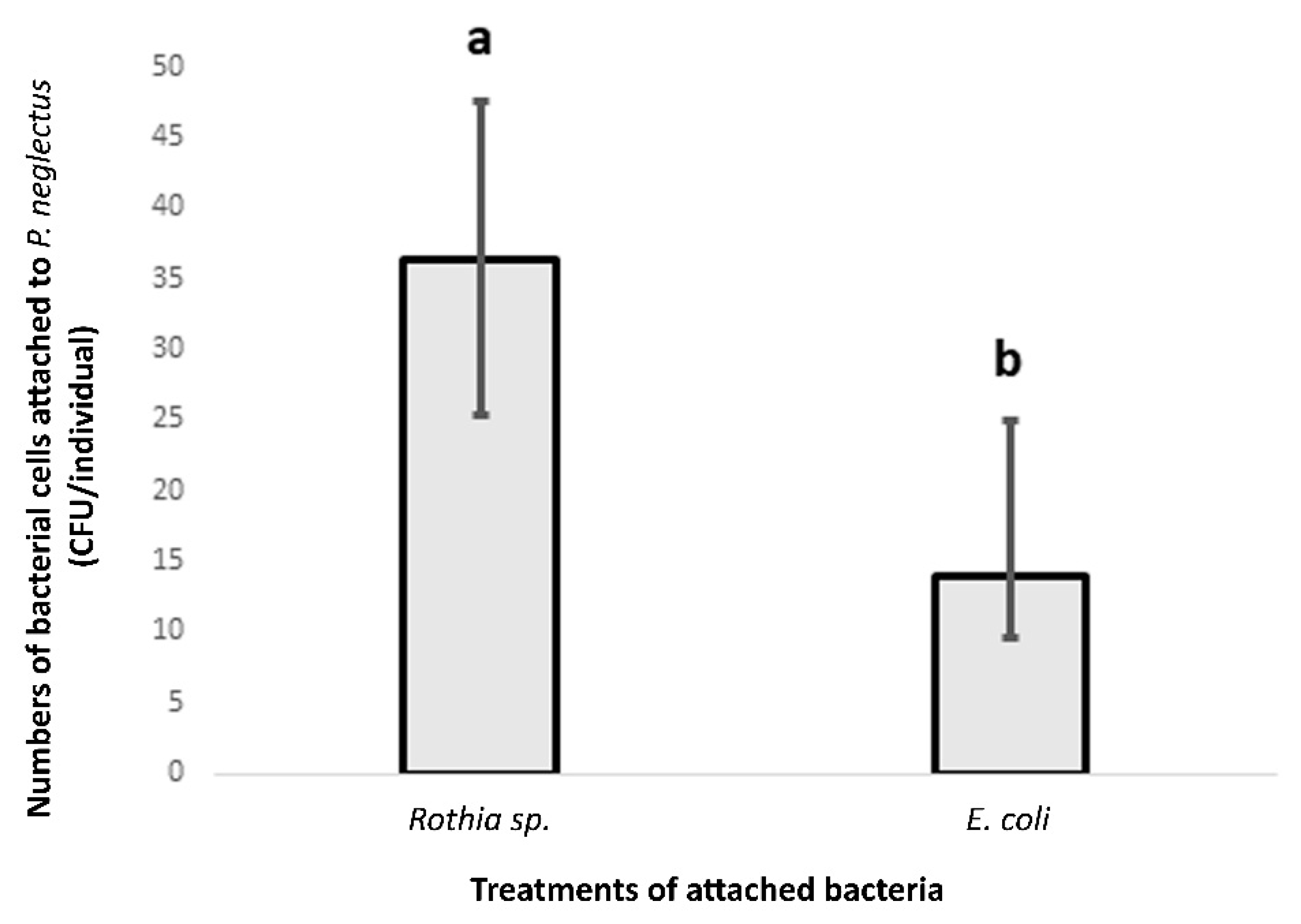 Microorganisms 10 01524 g003 Microorganisms 10 01524 g003
