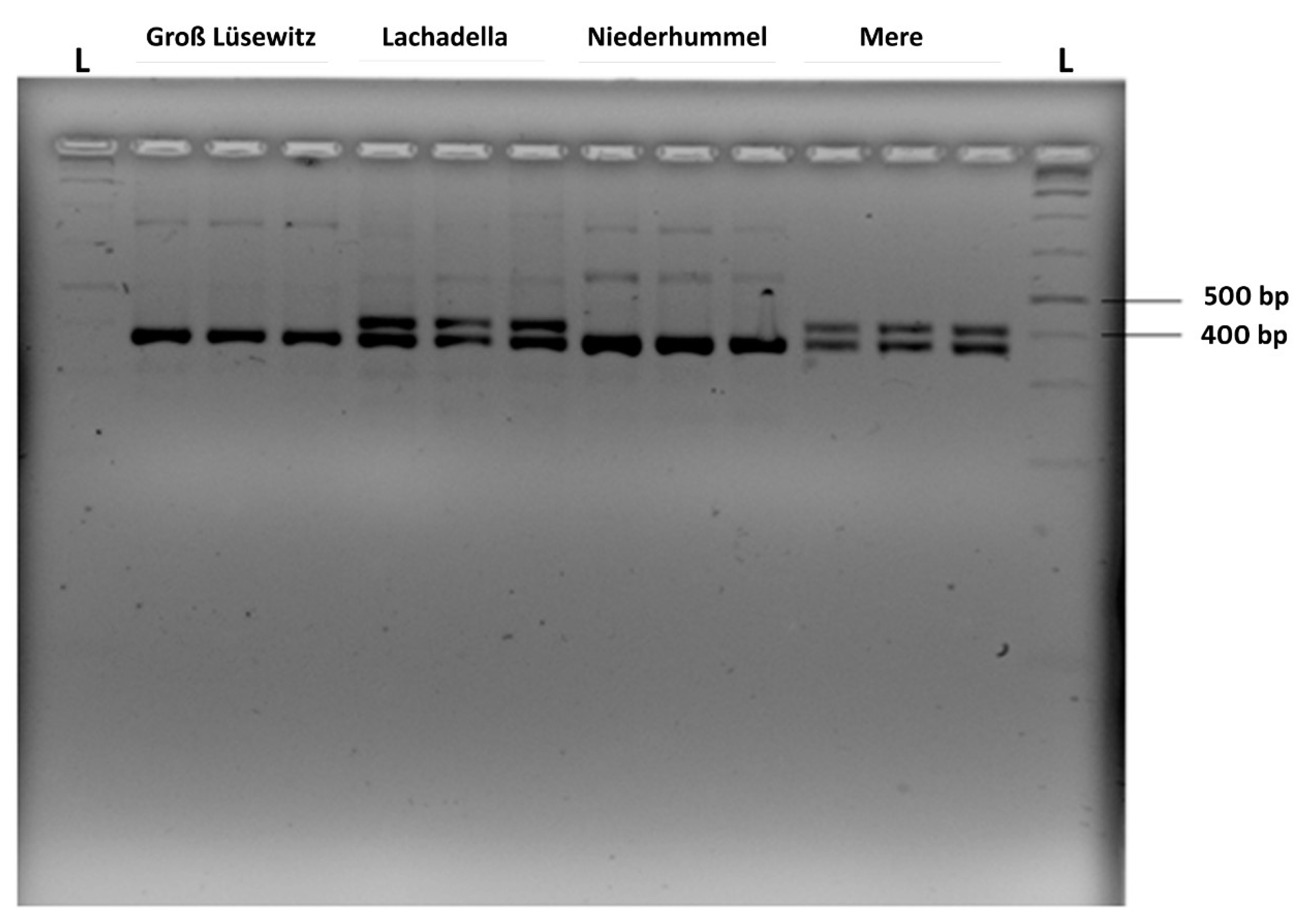Microorganisms 10 01524 g006 Microorganisms 10 01524 g006