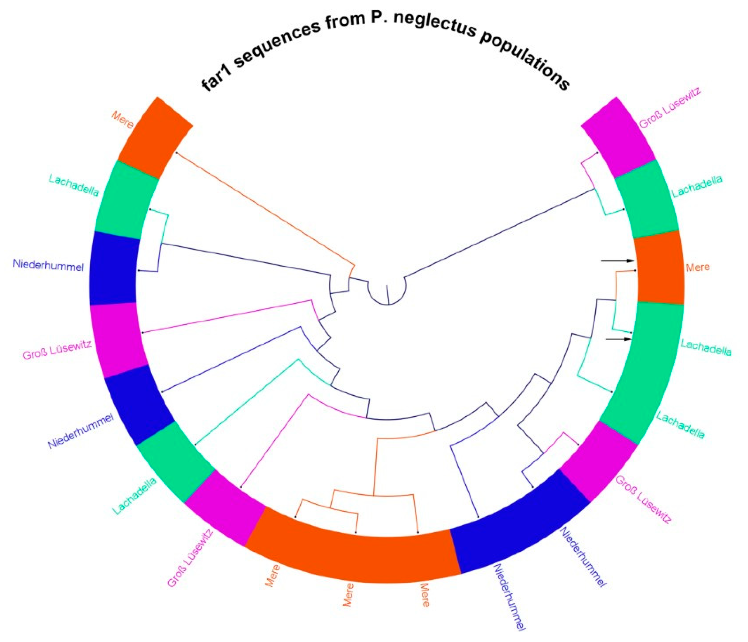 Microorganisms 10 01524 g007 Microorganisms 10 01524 g007