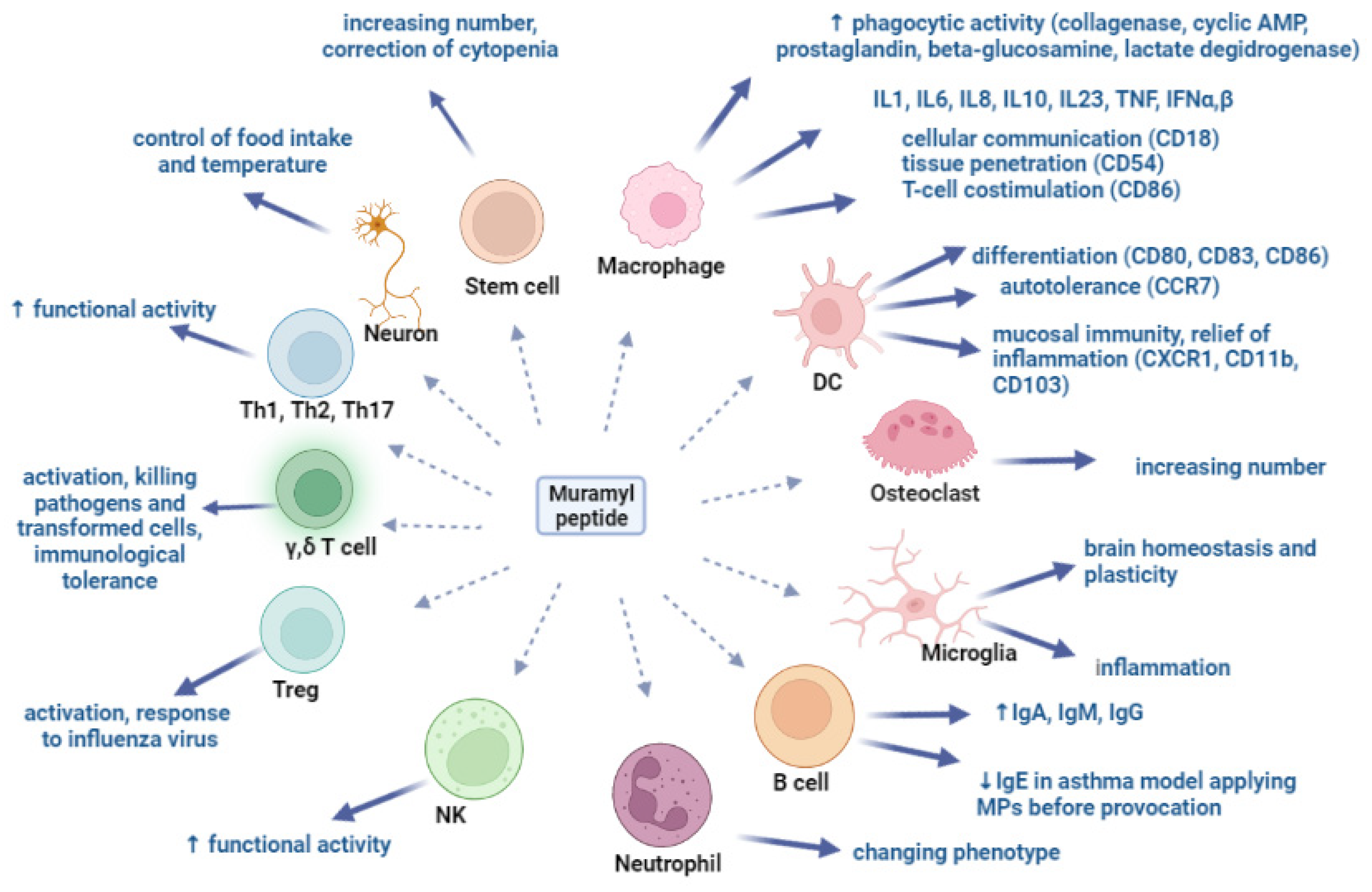 Microorganisms 10 01526 g002