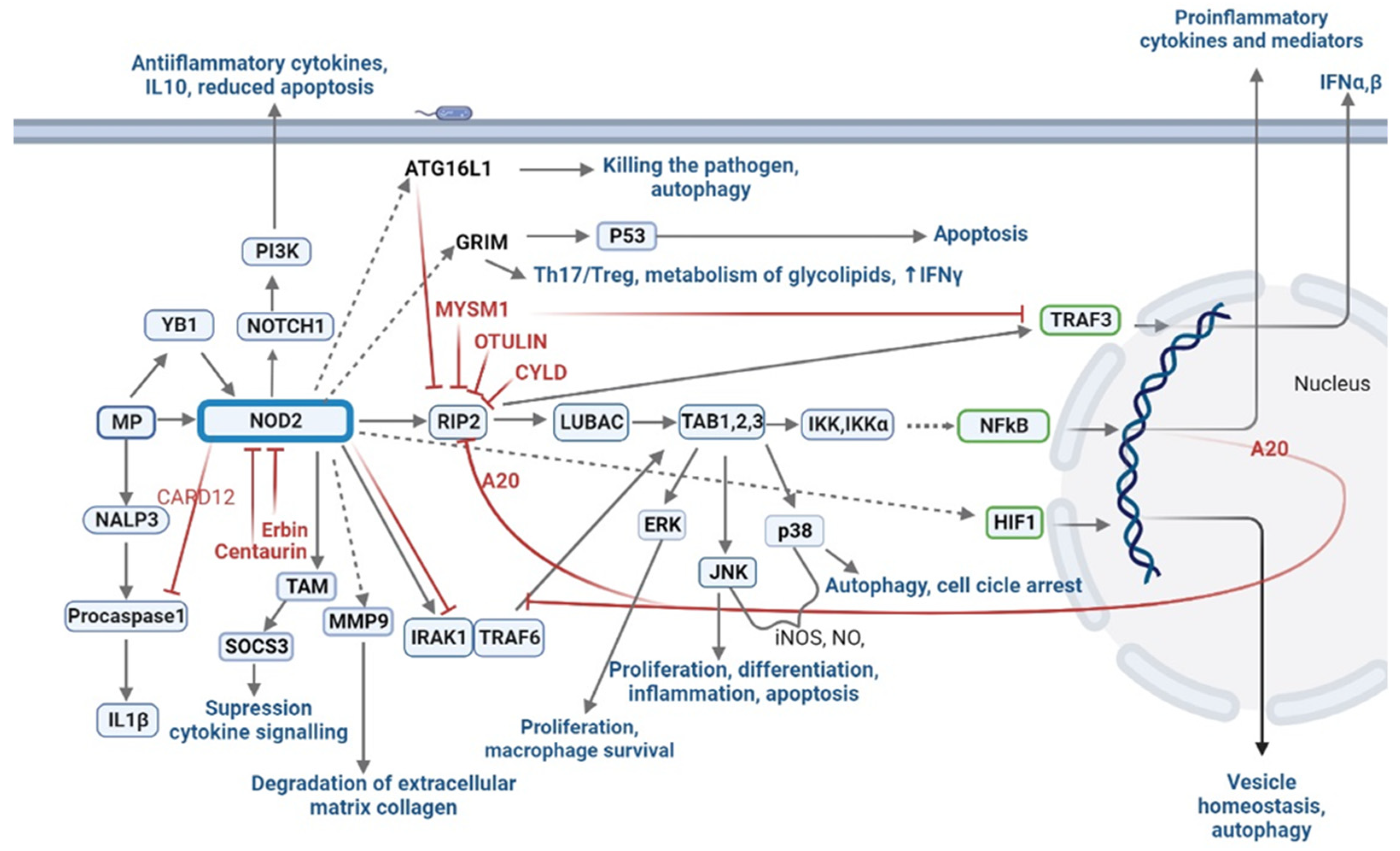 Microorganisms 10 01526 g003