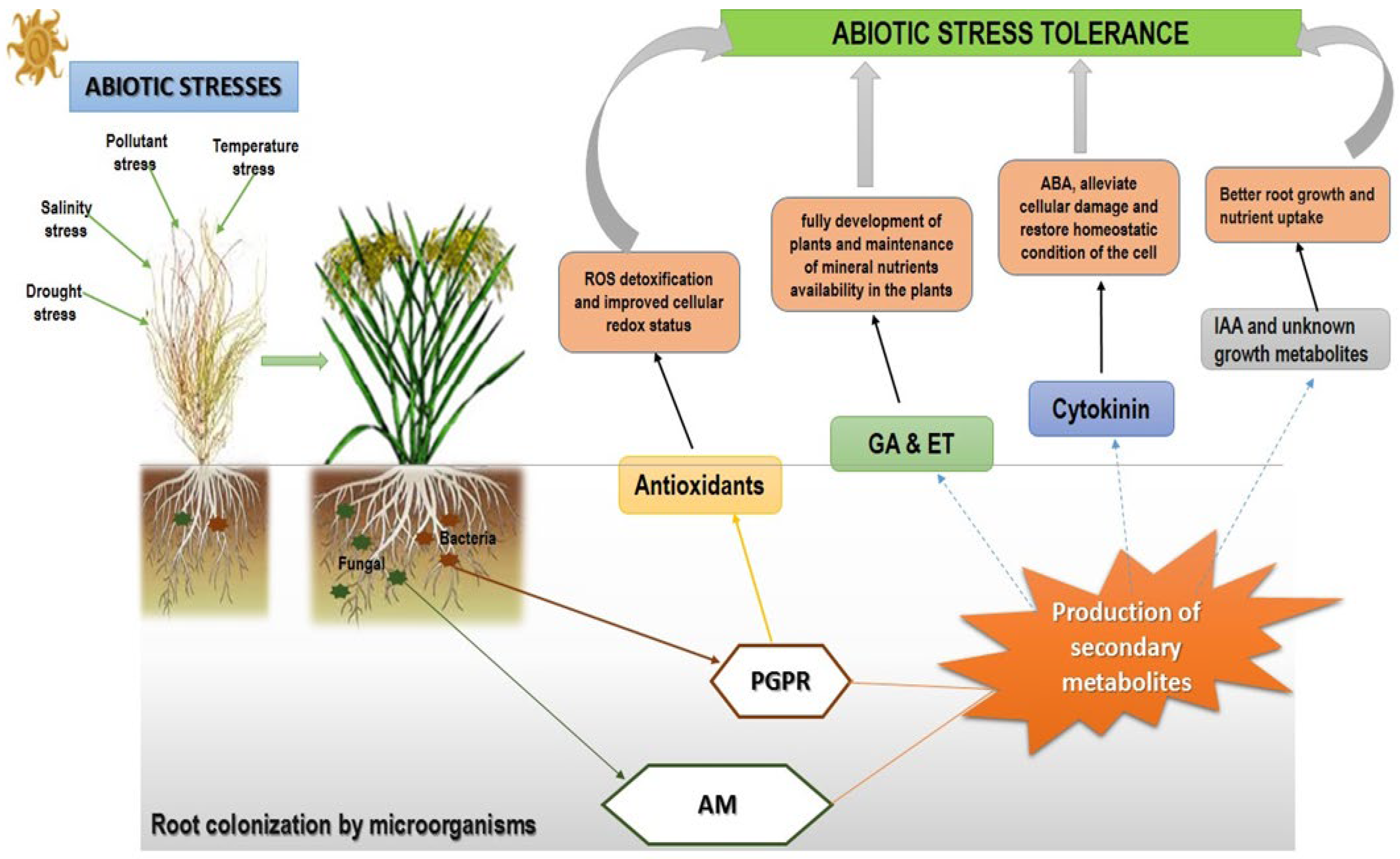 Microorganisms 10 01528 g002