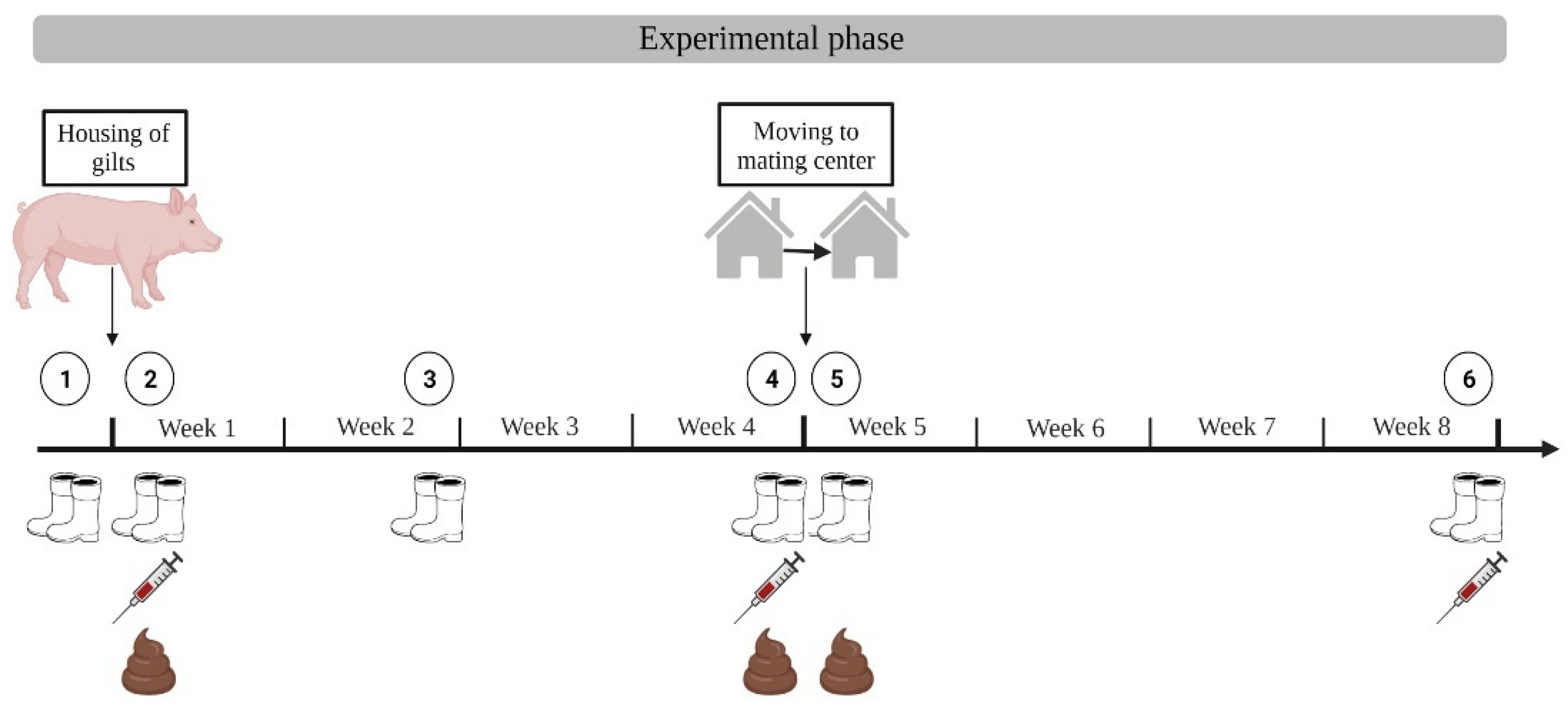 Microorganisms 10 01532 g002