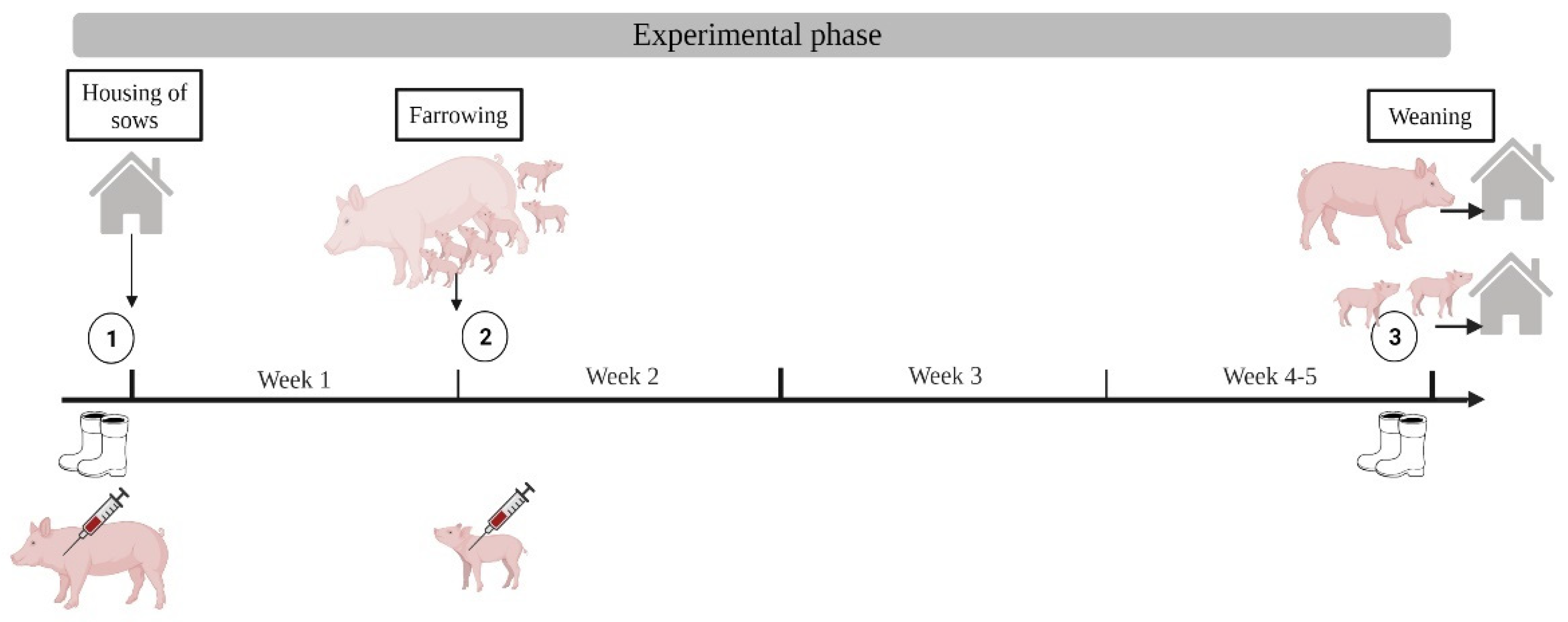 Microorganisms 10 01532 g003