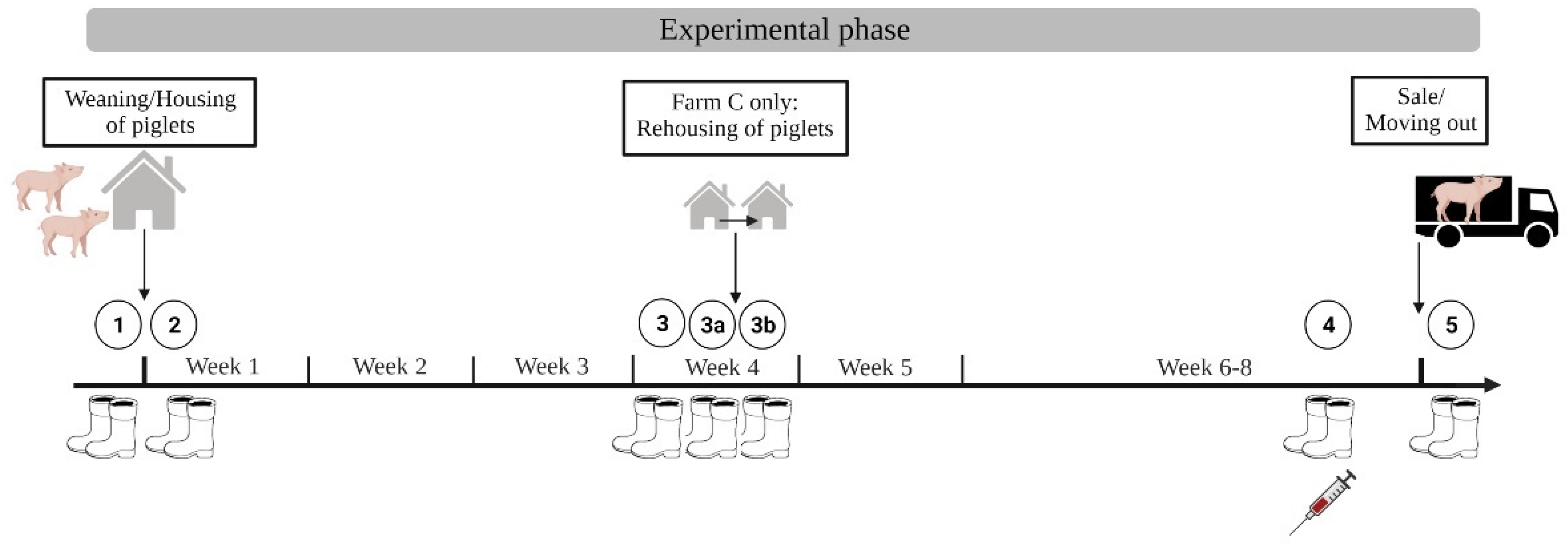 Microorganisms 10 01532 g004