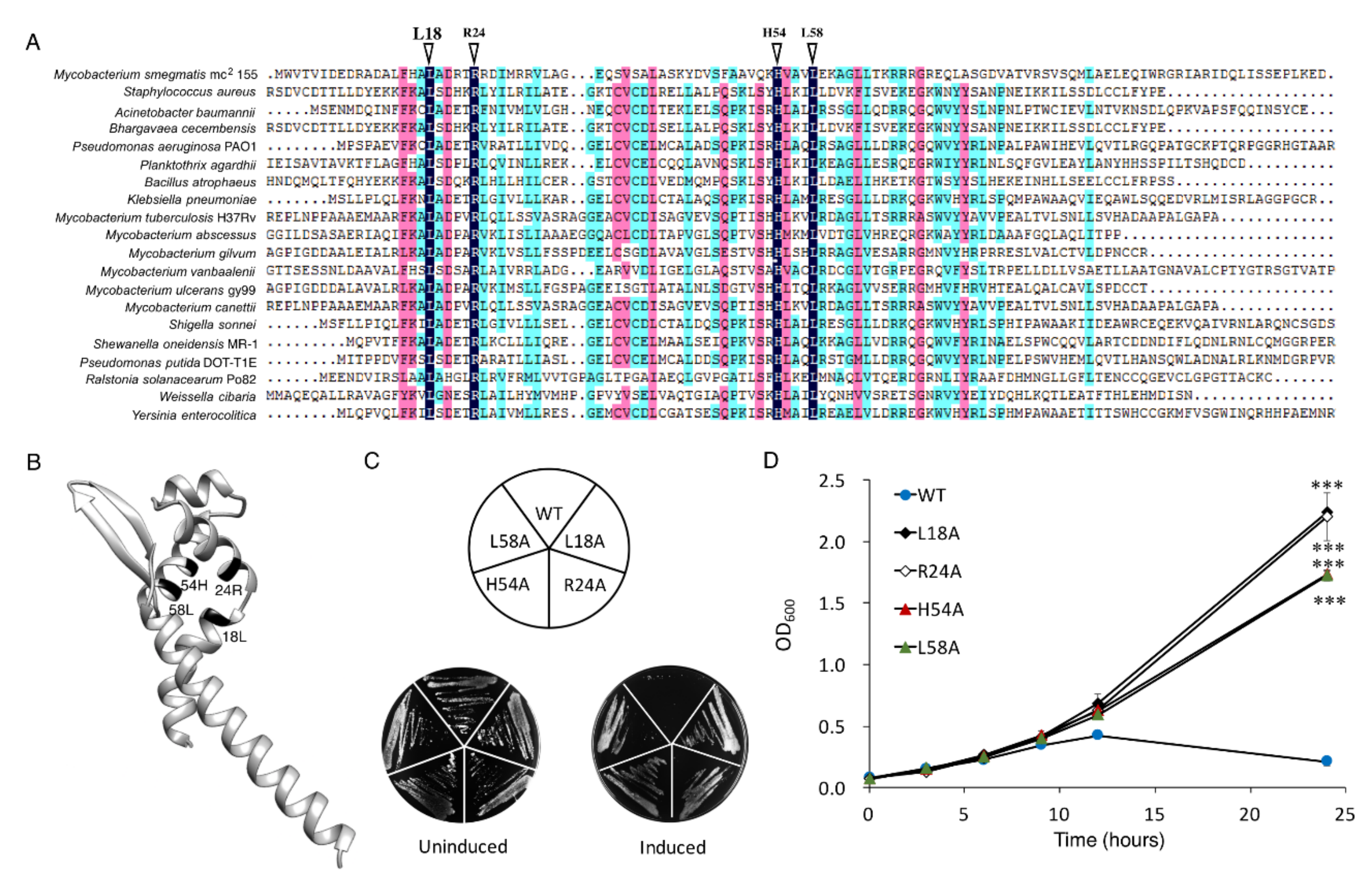 Microorganisms 10 01535 g002