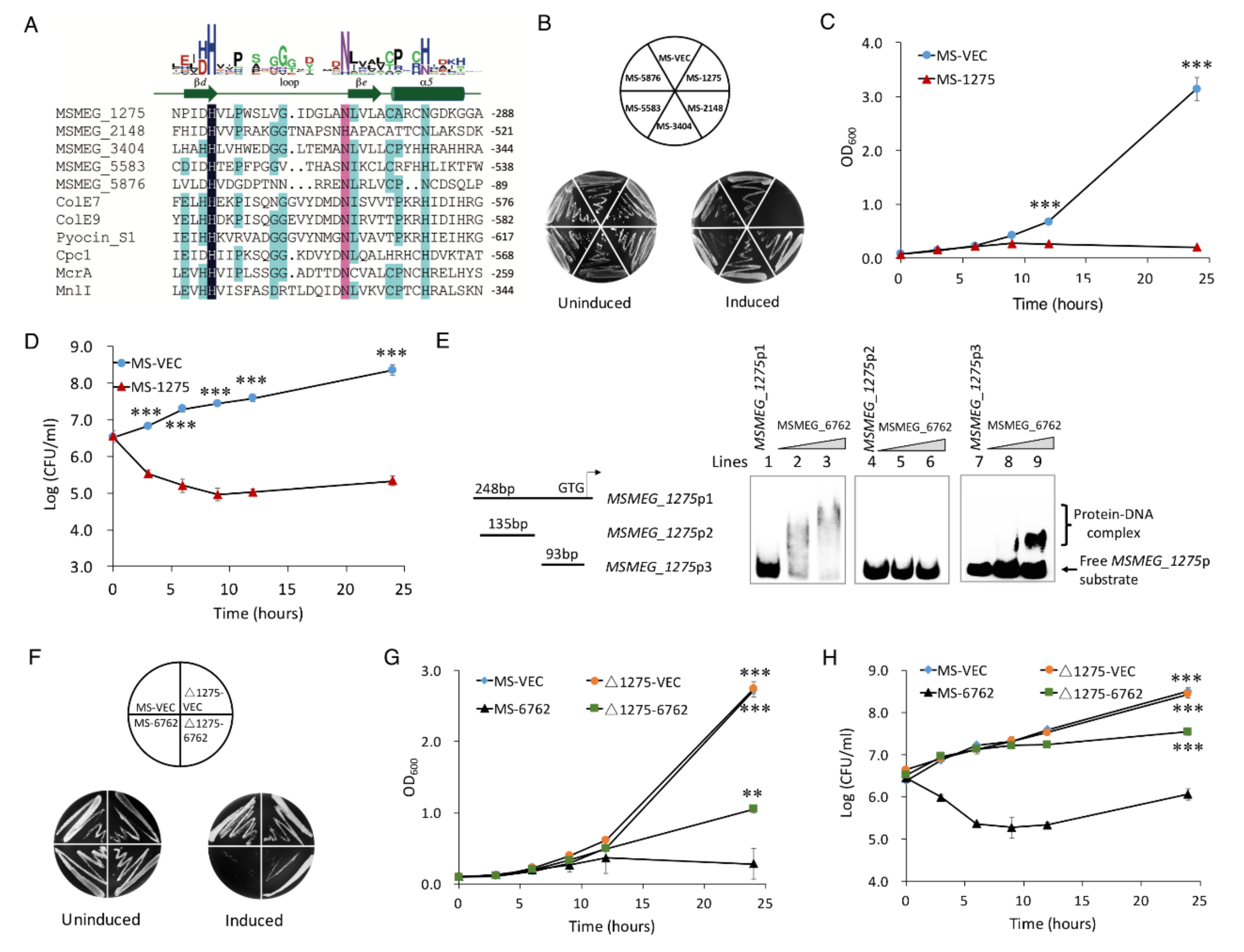 Microorganisms 10 01535 g004