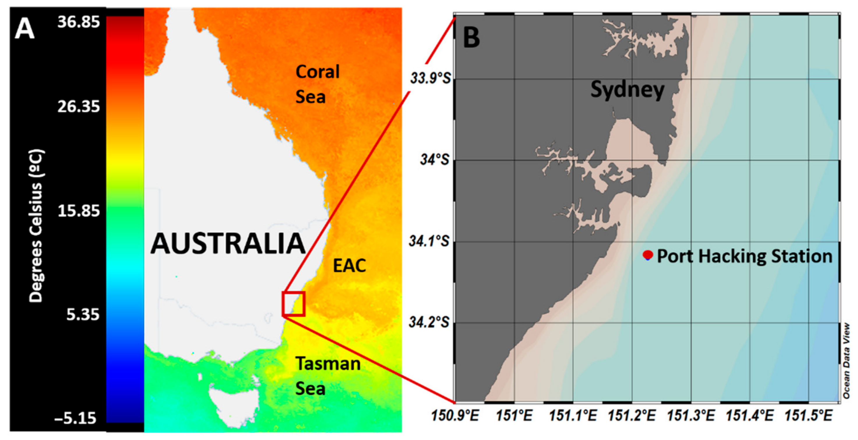 Microorganisms 10 01539 g001