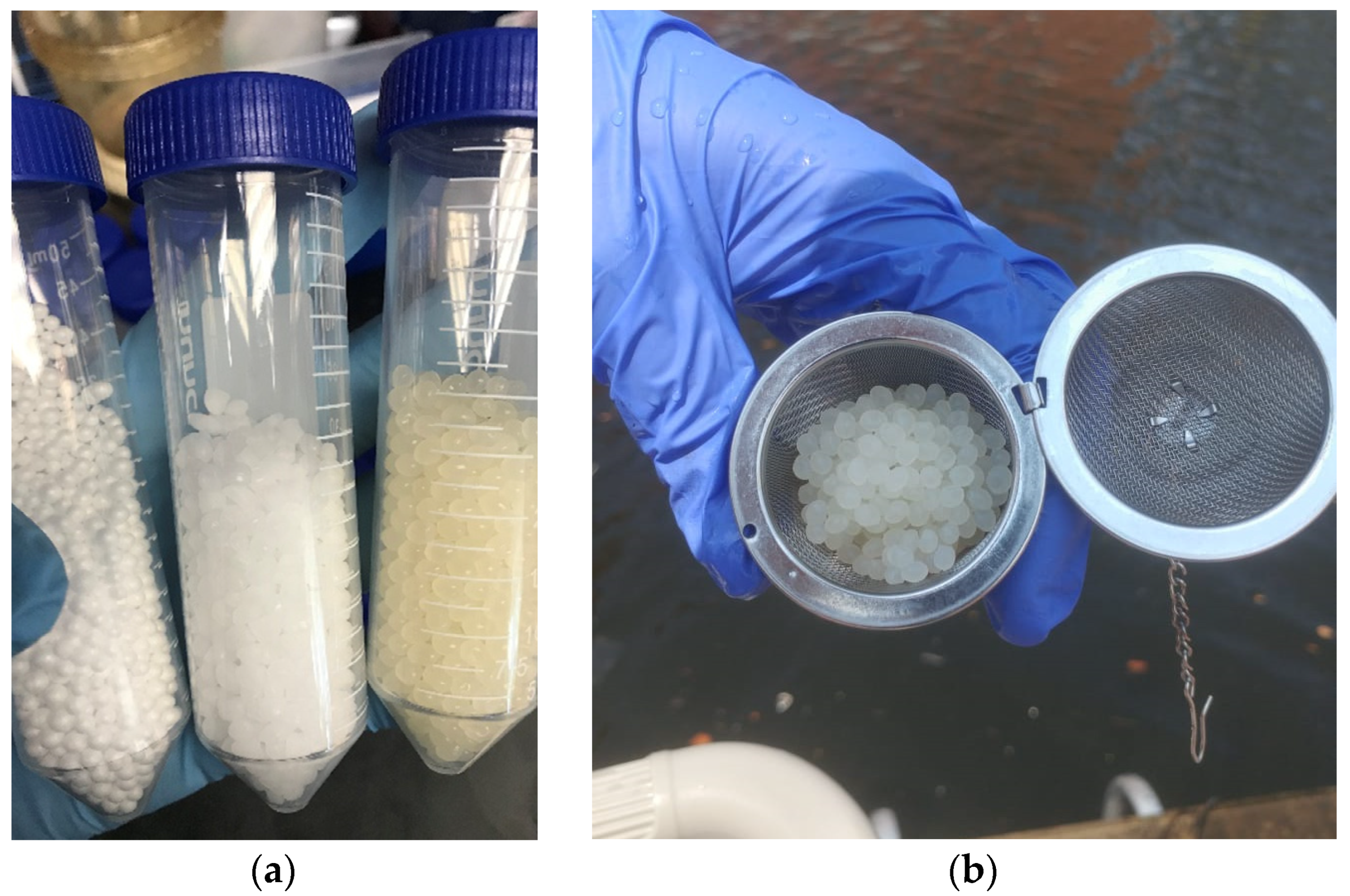Microorganisms 10 01543 g001 550