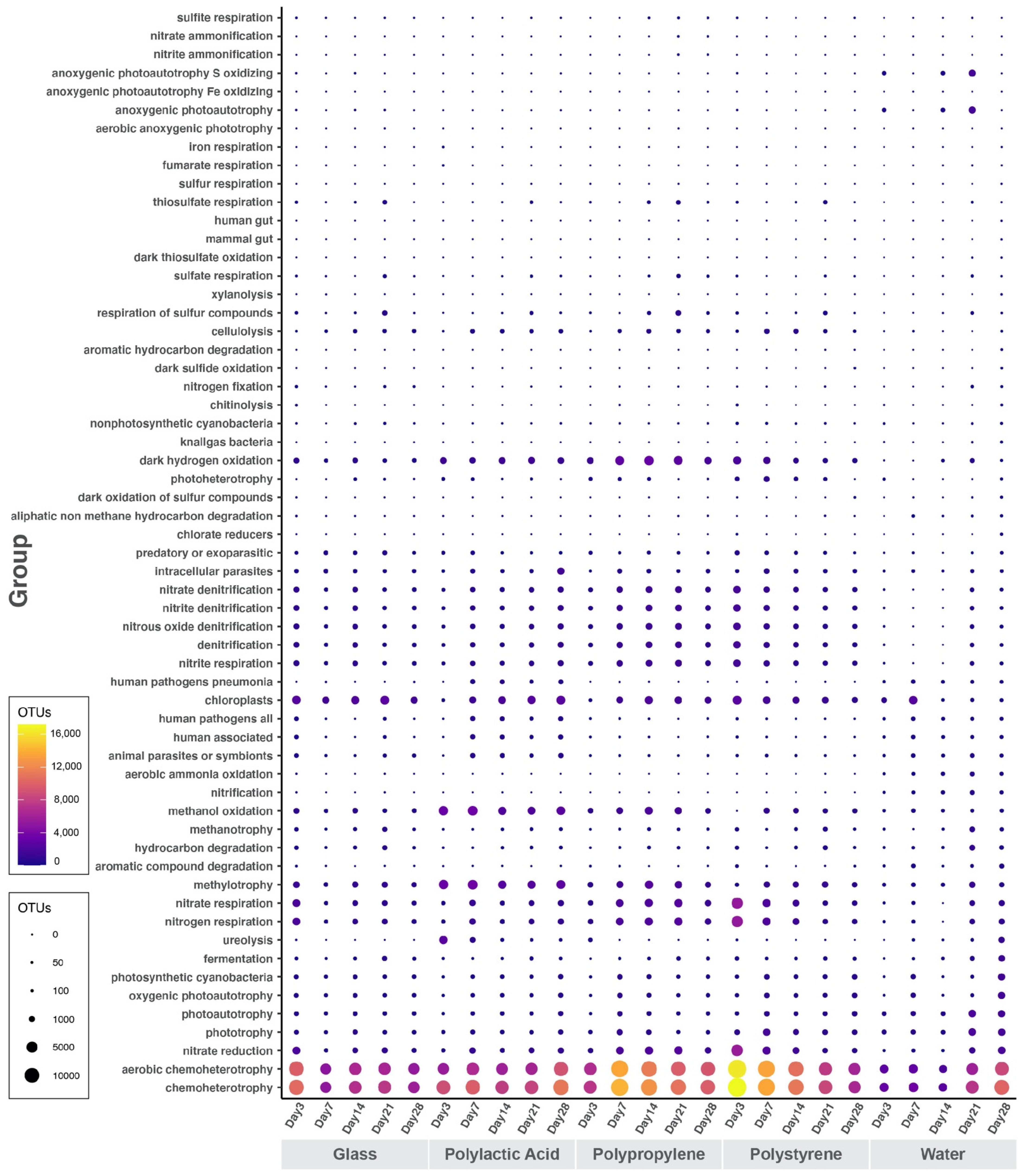 Microorganisms 10 01543 g006 550