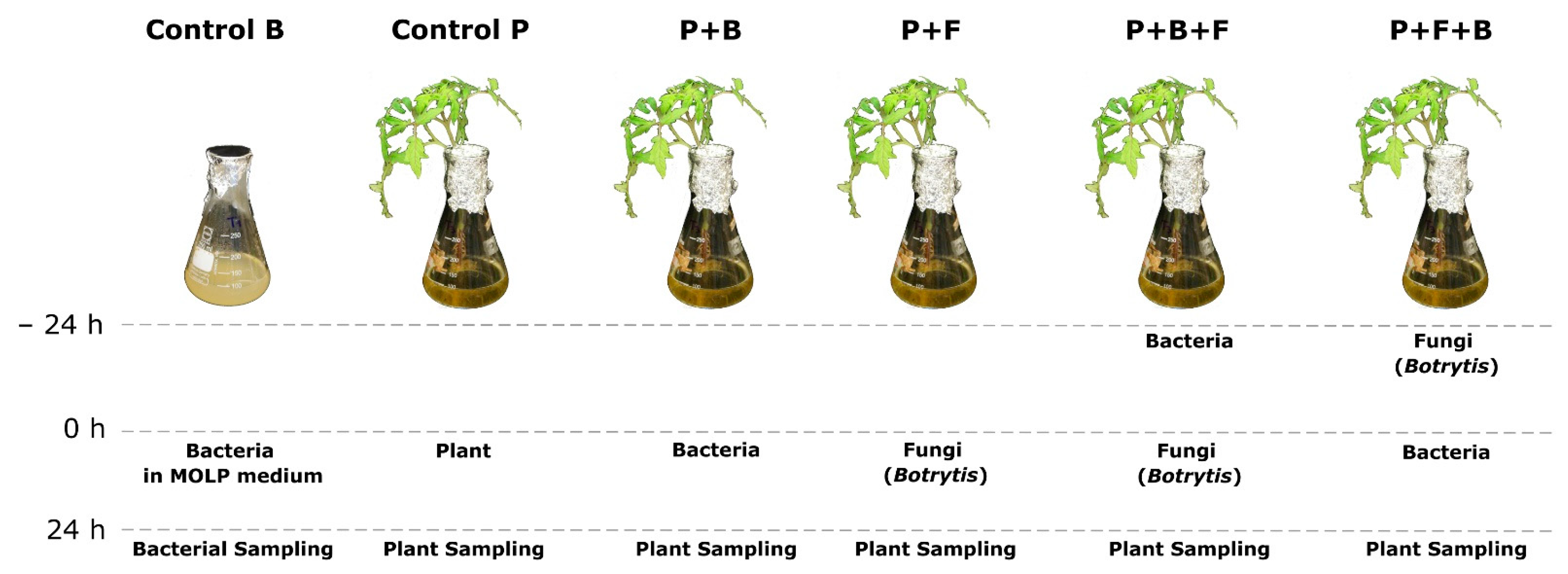 Microorganisms 10 01547 g001