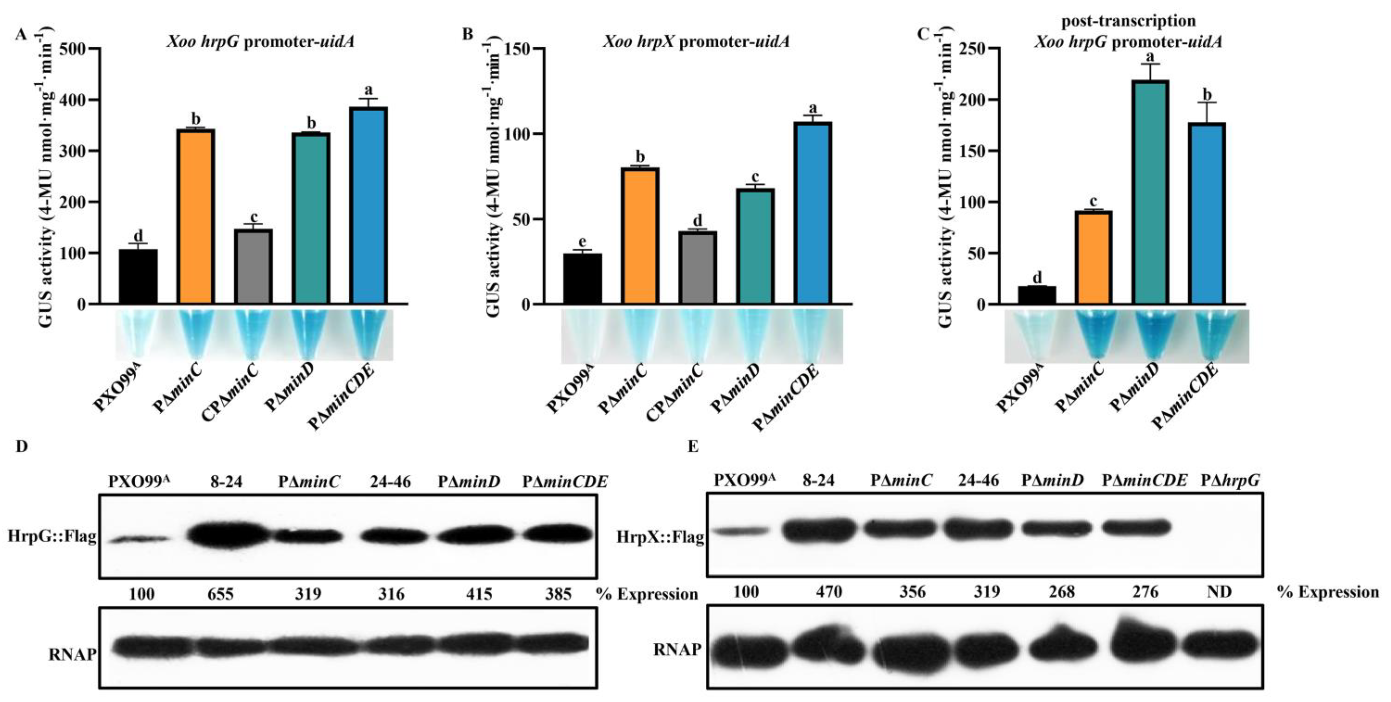 Microorganisms 10 01549 g002