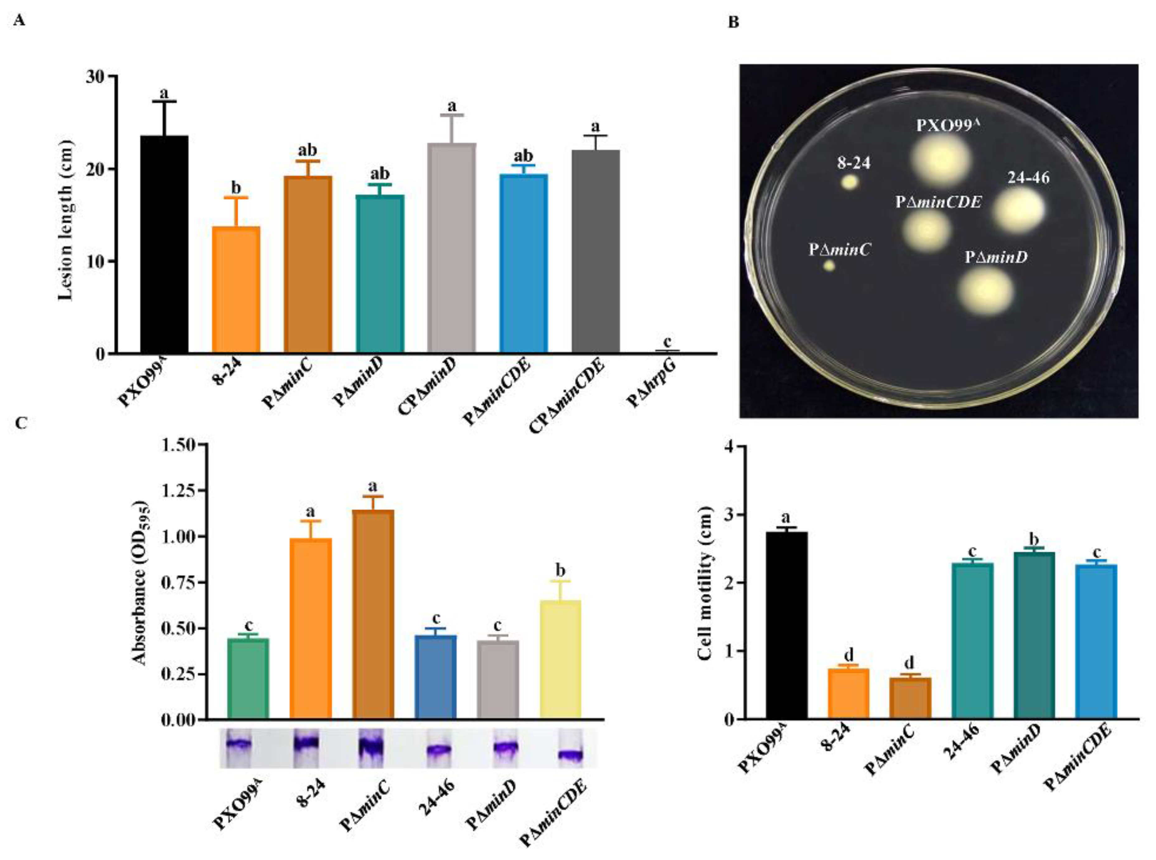 Microorganisms 10 01549 g005