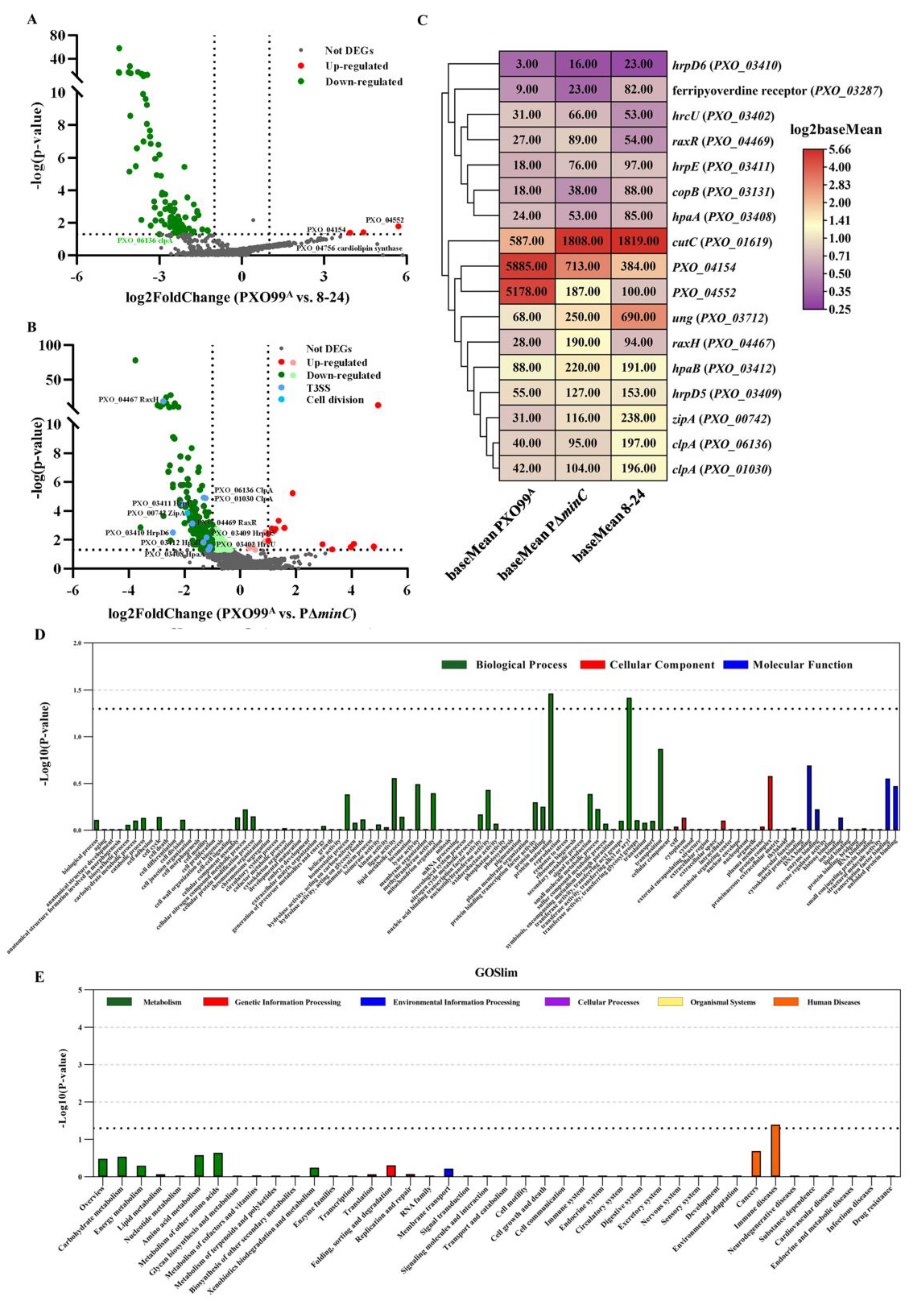 Microorganisms 10 01549 g006