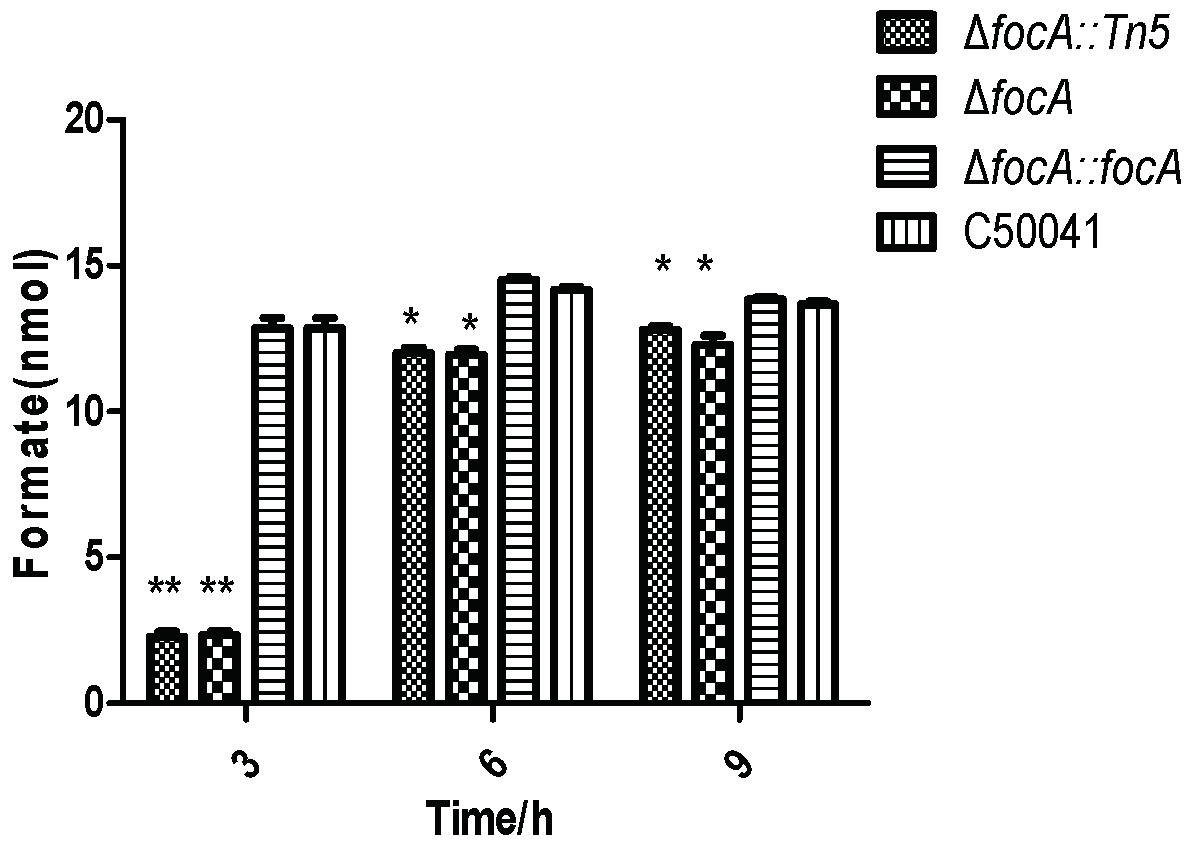Microorganisms 10 01557 g005 Microorganisms 10 01557 g005