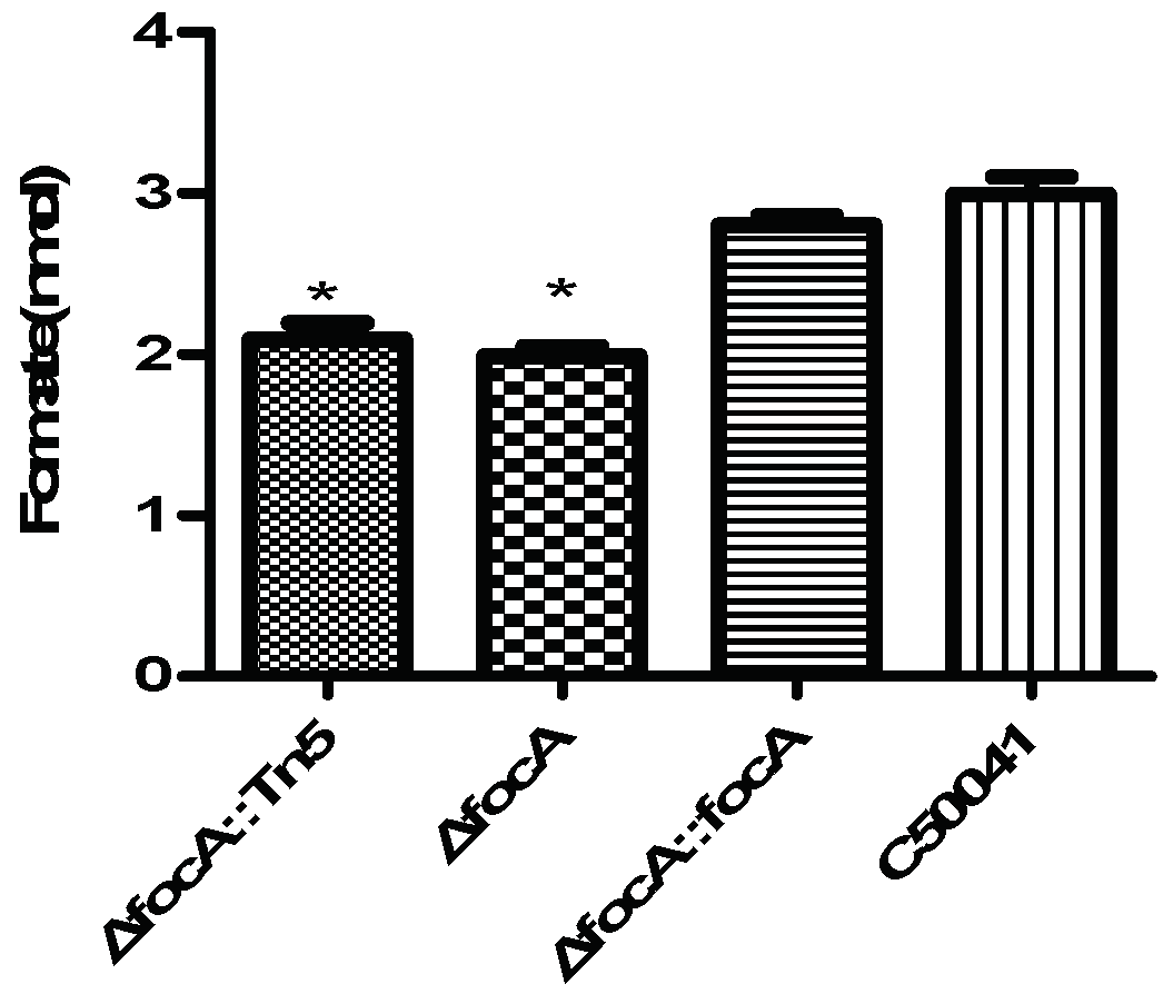 Microorganisms 10 01557 g006 Microorganisms 10 01557 g006