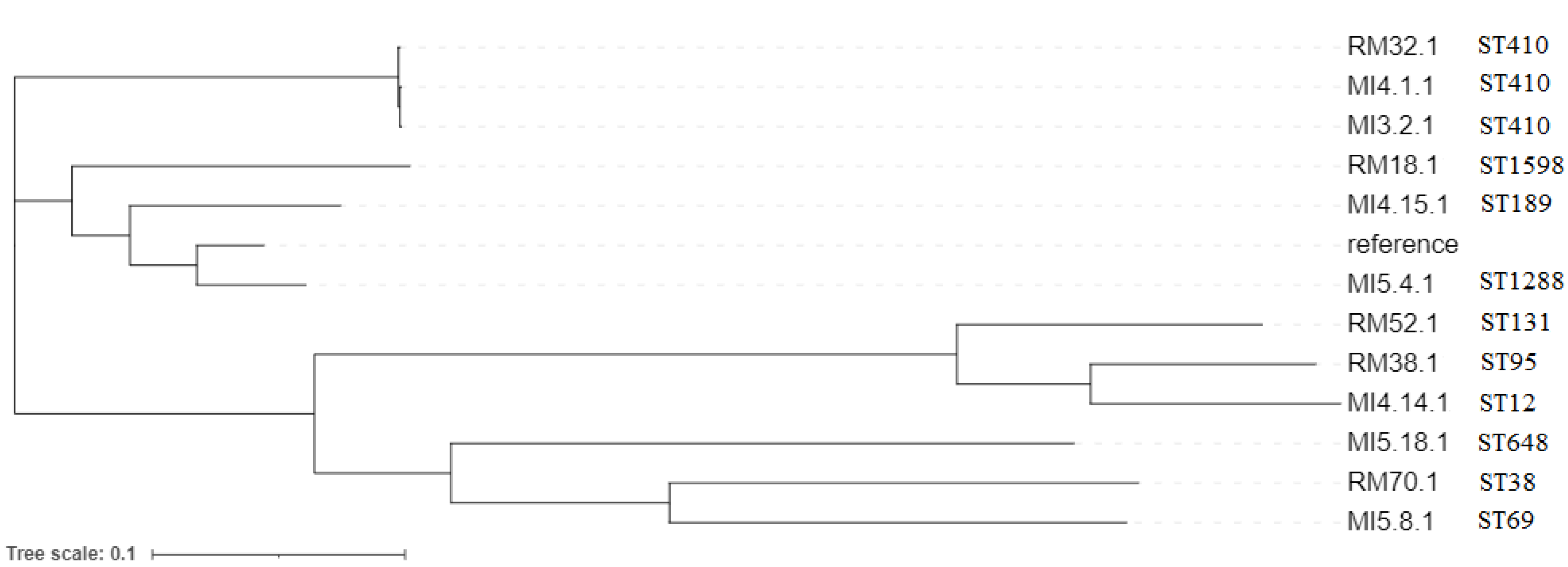 Microorganisms 10 01561 g002 Microorganisms 10 01561 g002