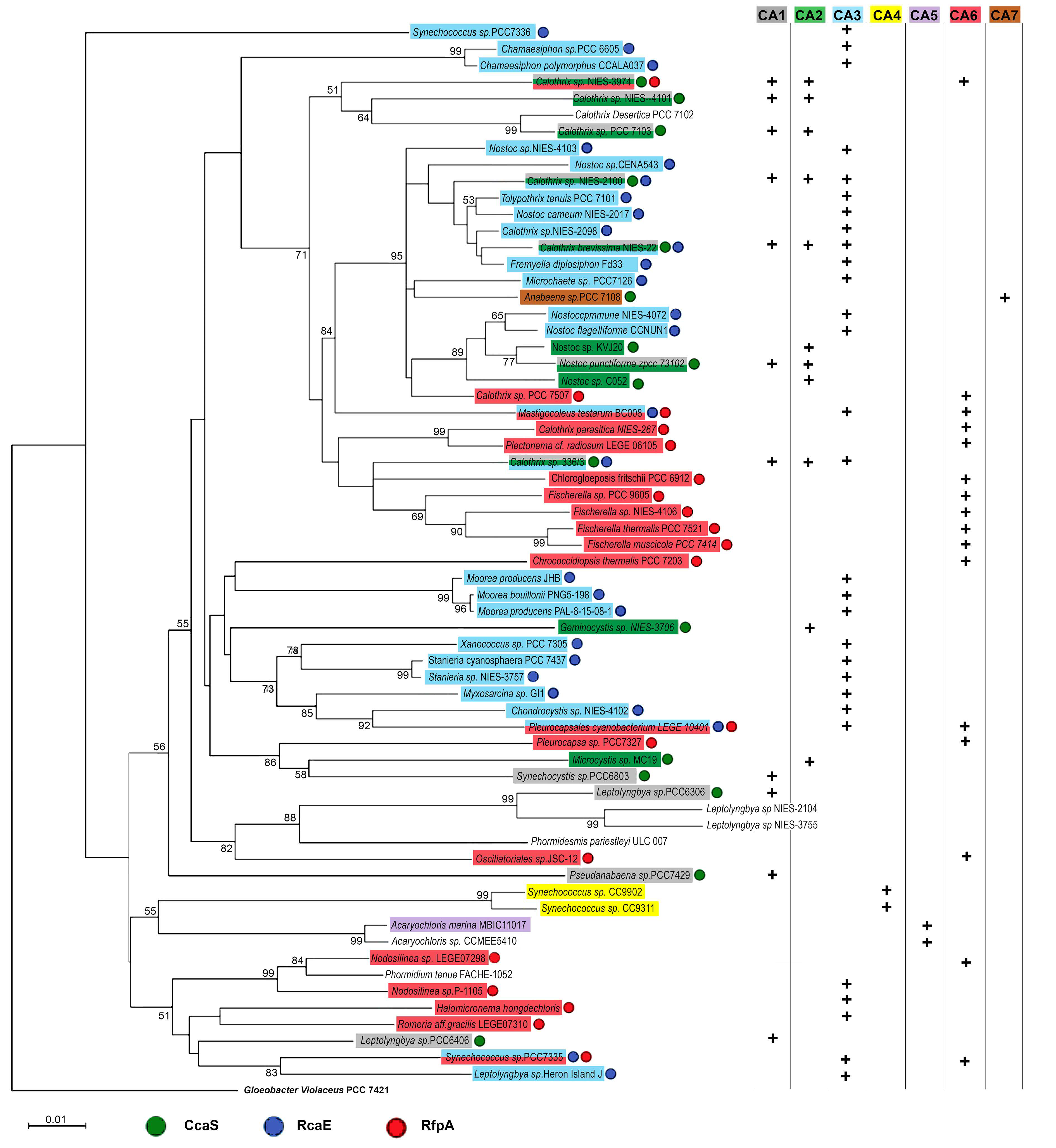 Microorganisms 10 01562 g003 550