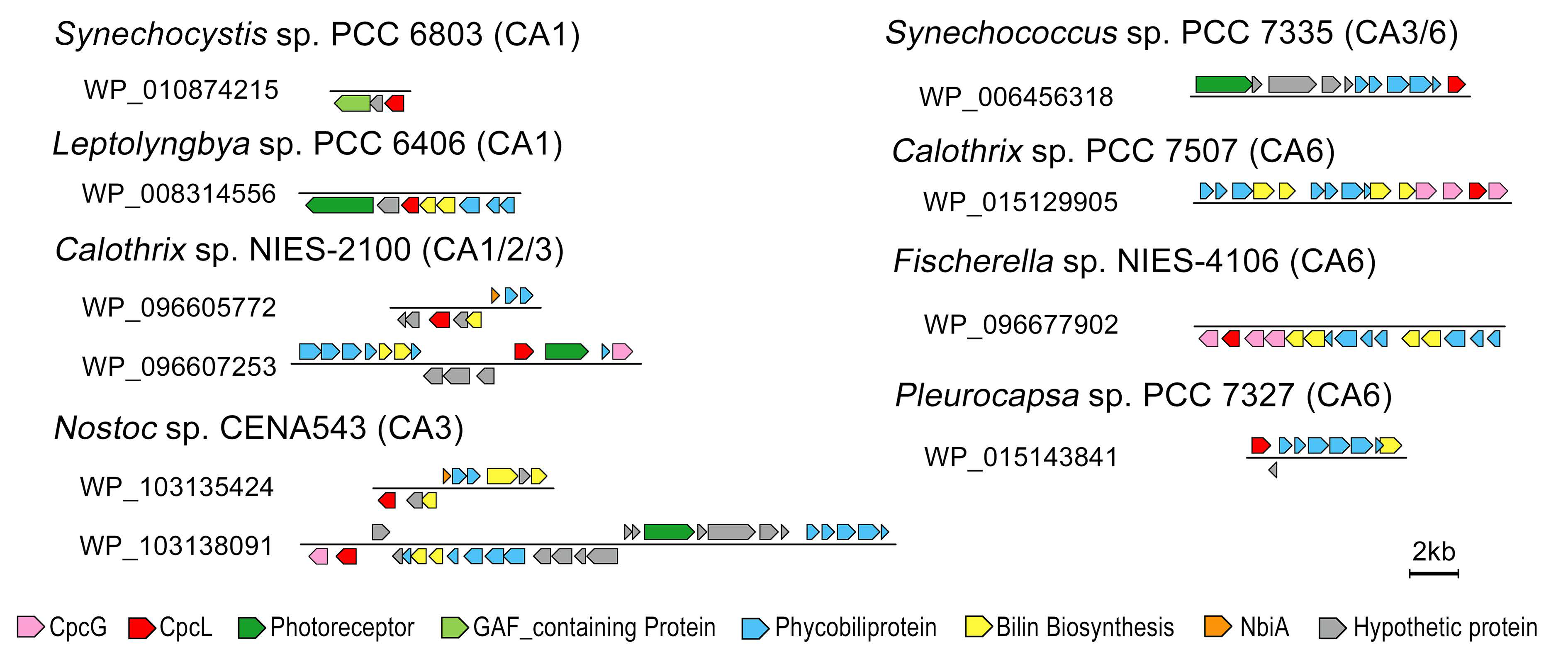 Microorganisms 10 01562 g005 550