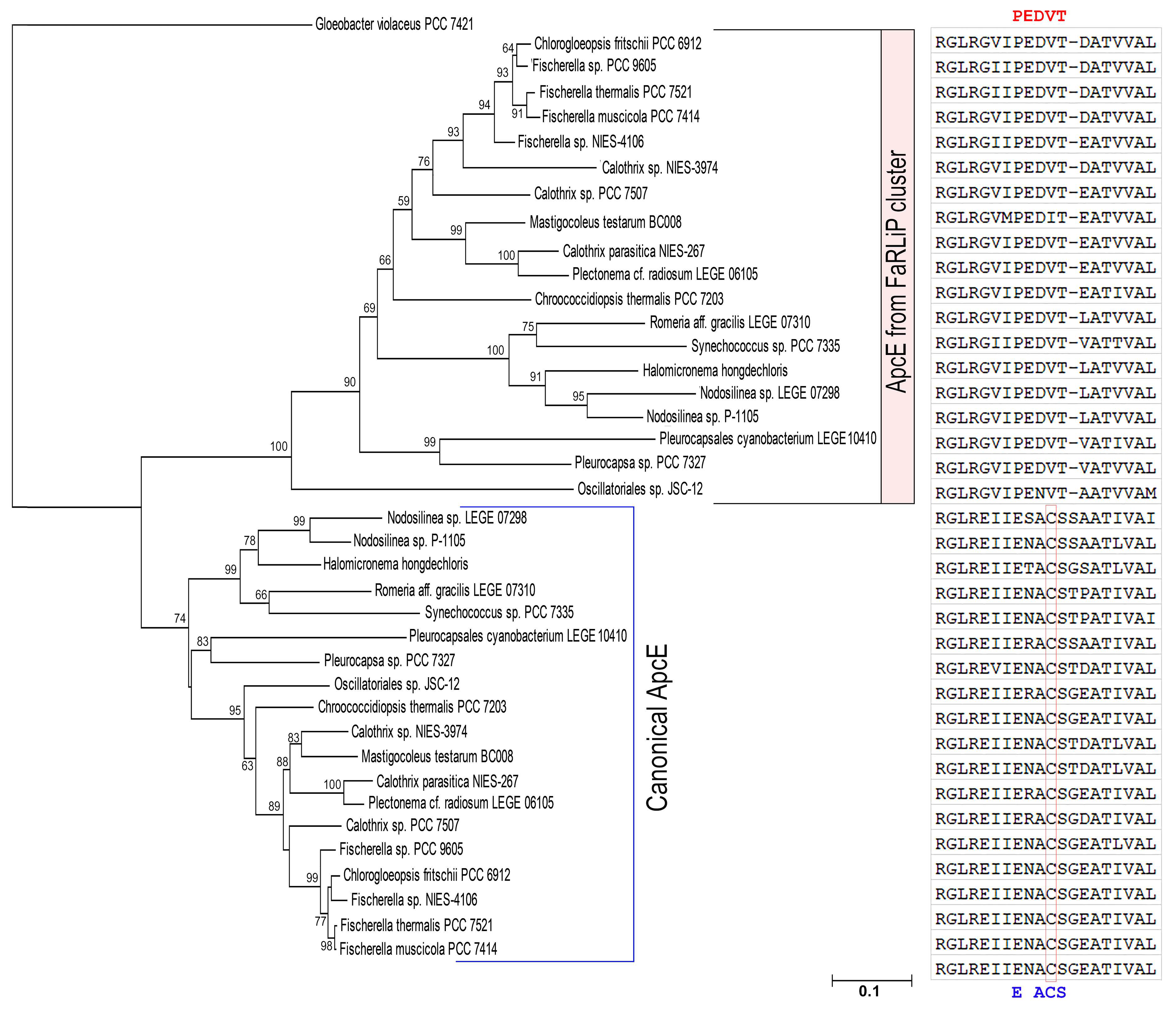 Microorganisms 10 01562 g006 550