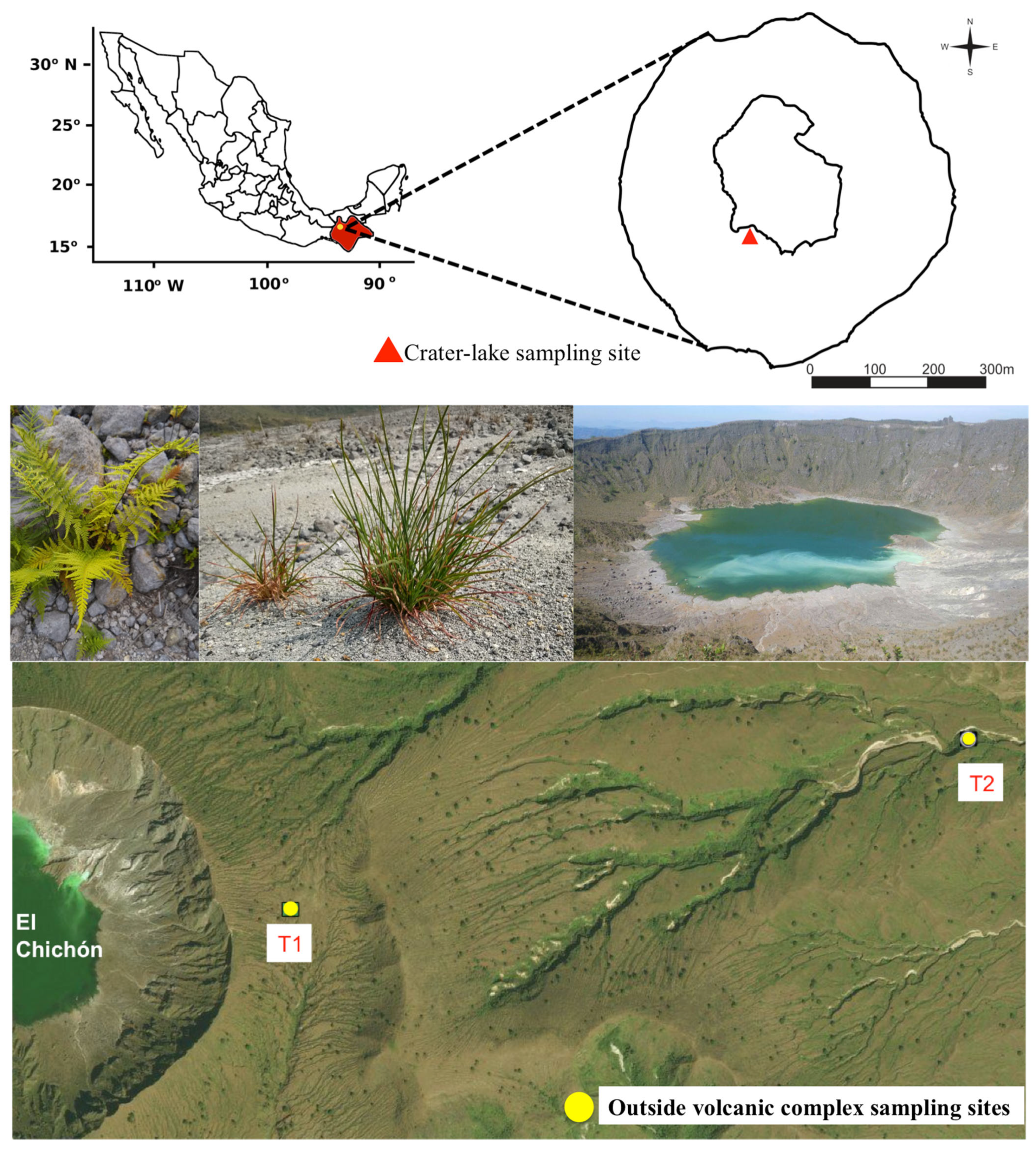 Microorganisms 10 01568 g001