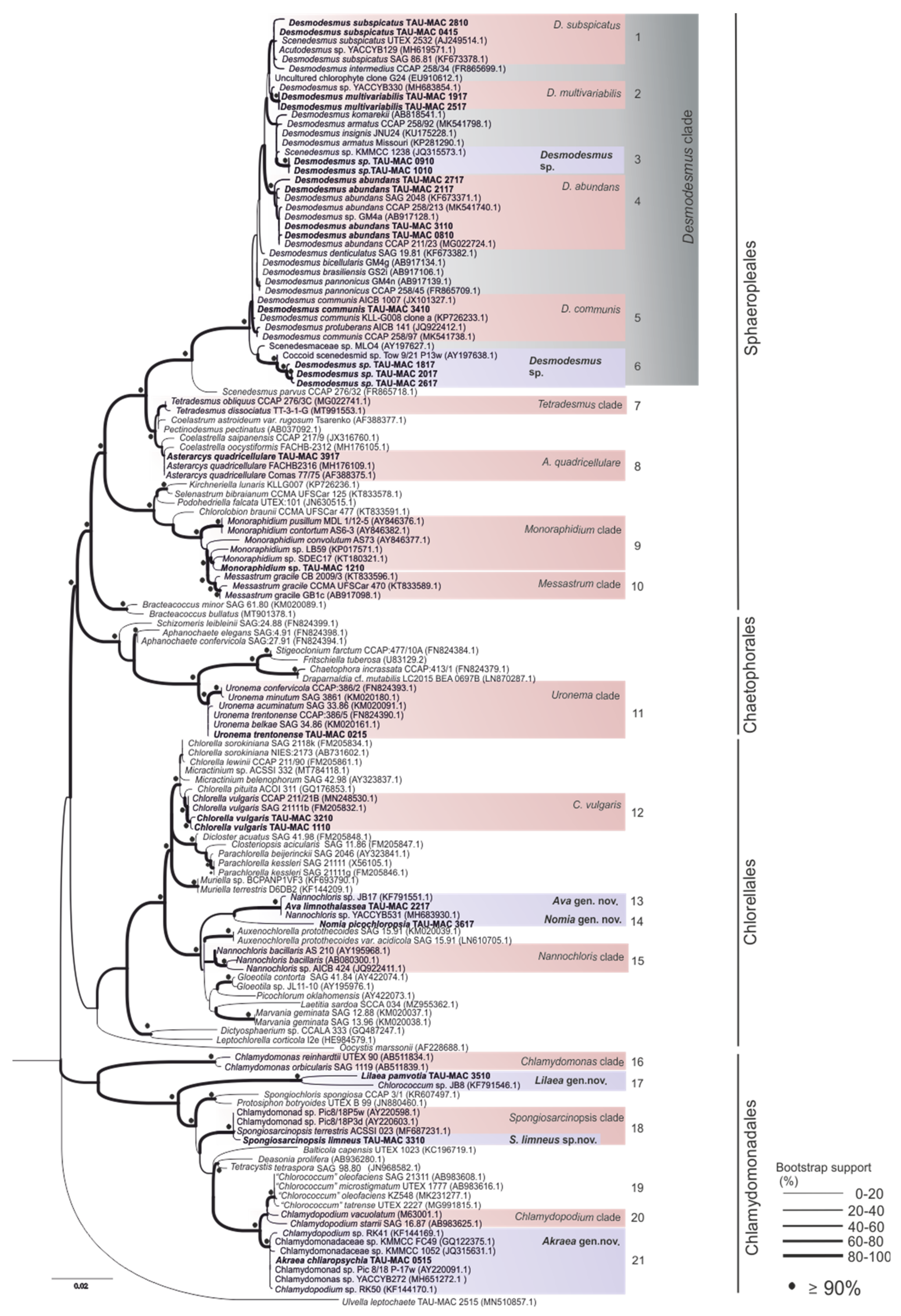 Microorganisms 10 01571 g001