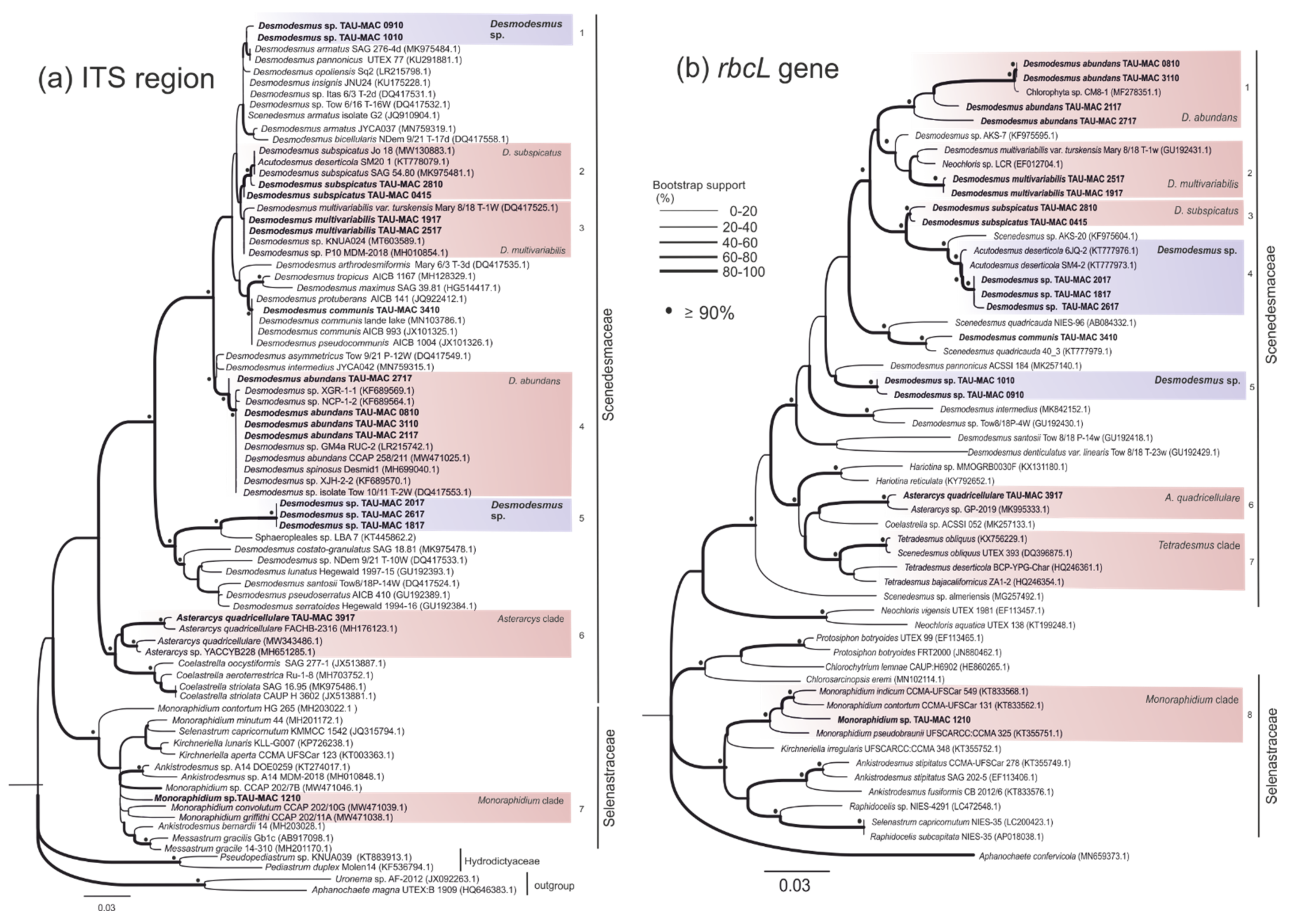 Microorganisms 10 01571 g002