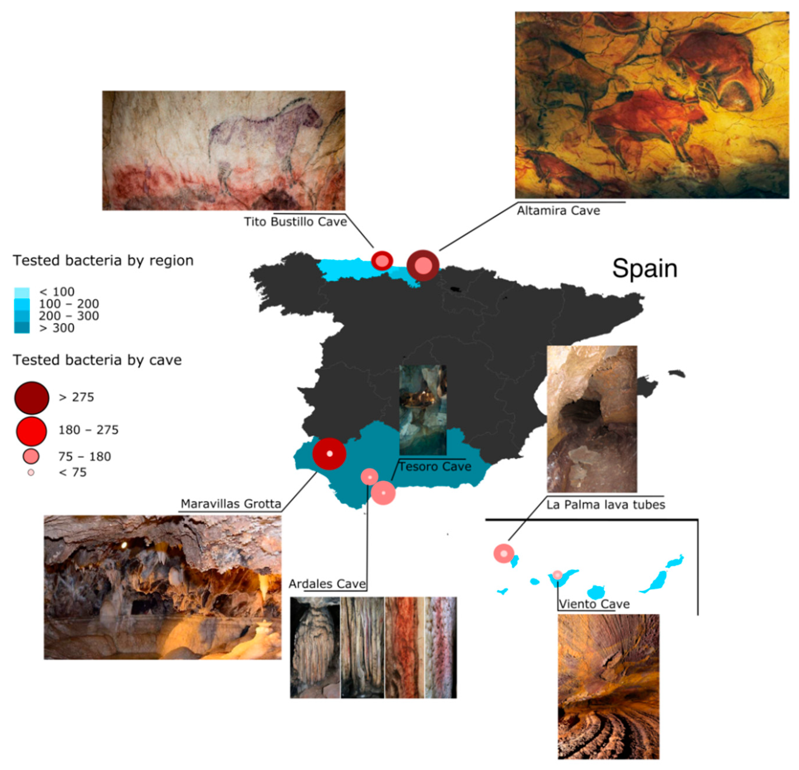 Microorganisms 10 01575 g001 Microorganisms 10 01575 g001