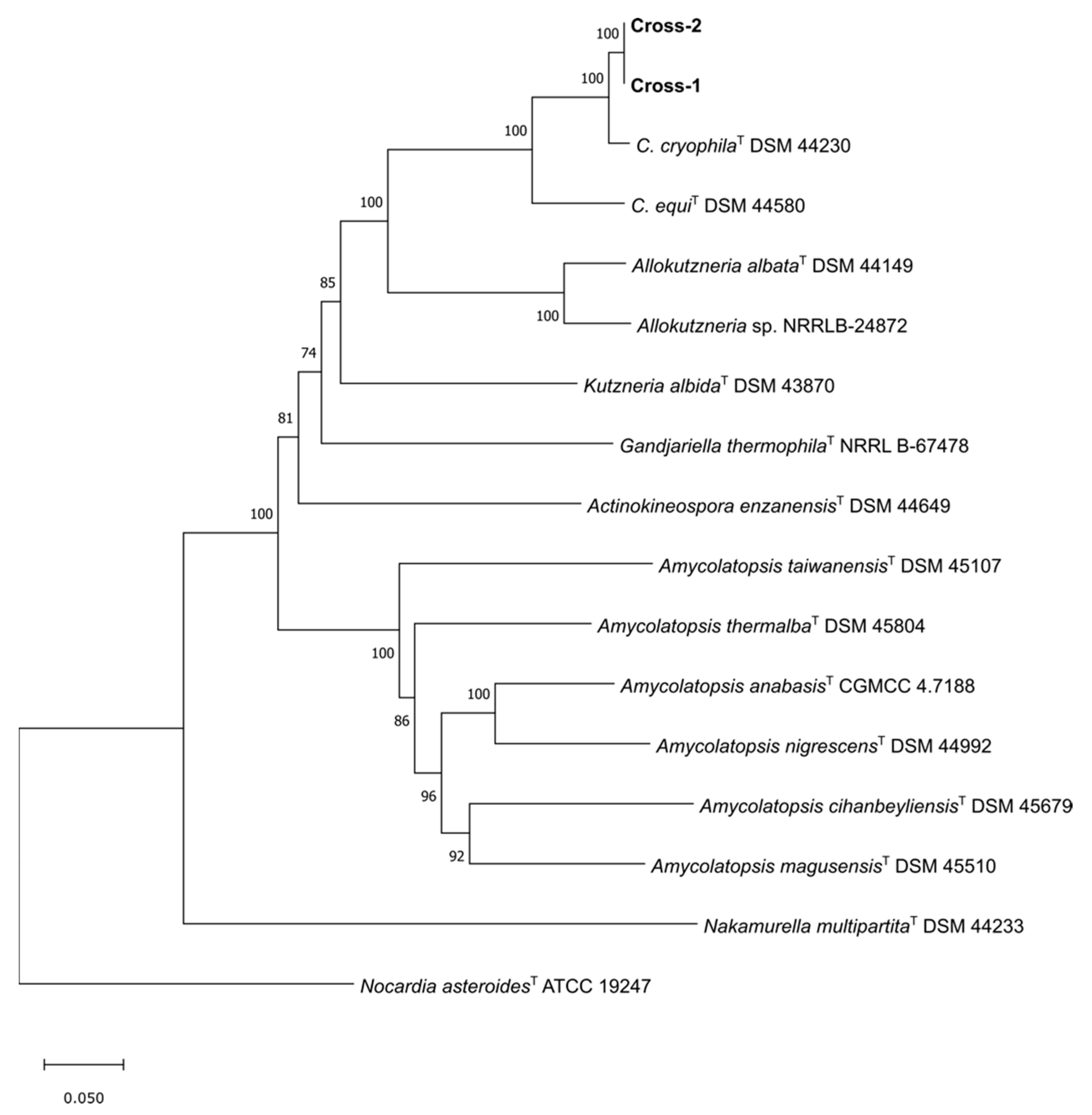 Microorganisms 10 01575 g004 Microorganisms 10 01575 g004