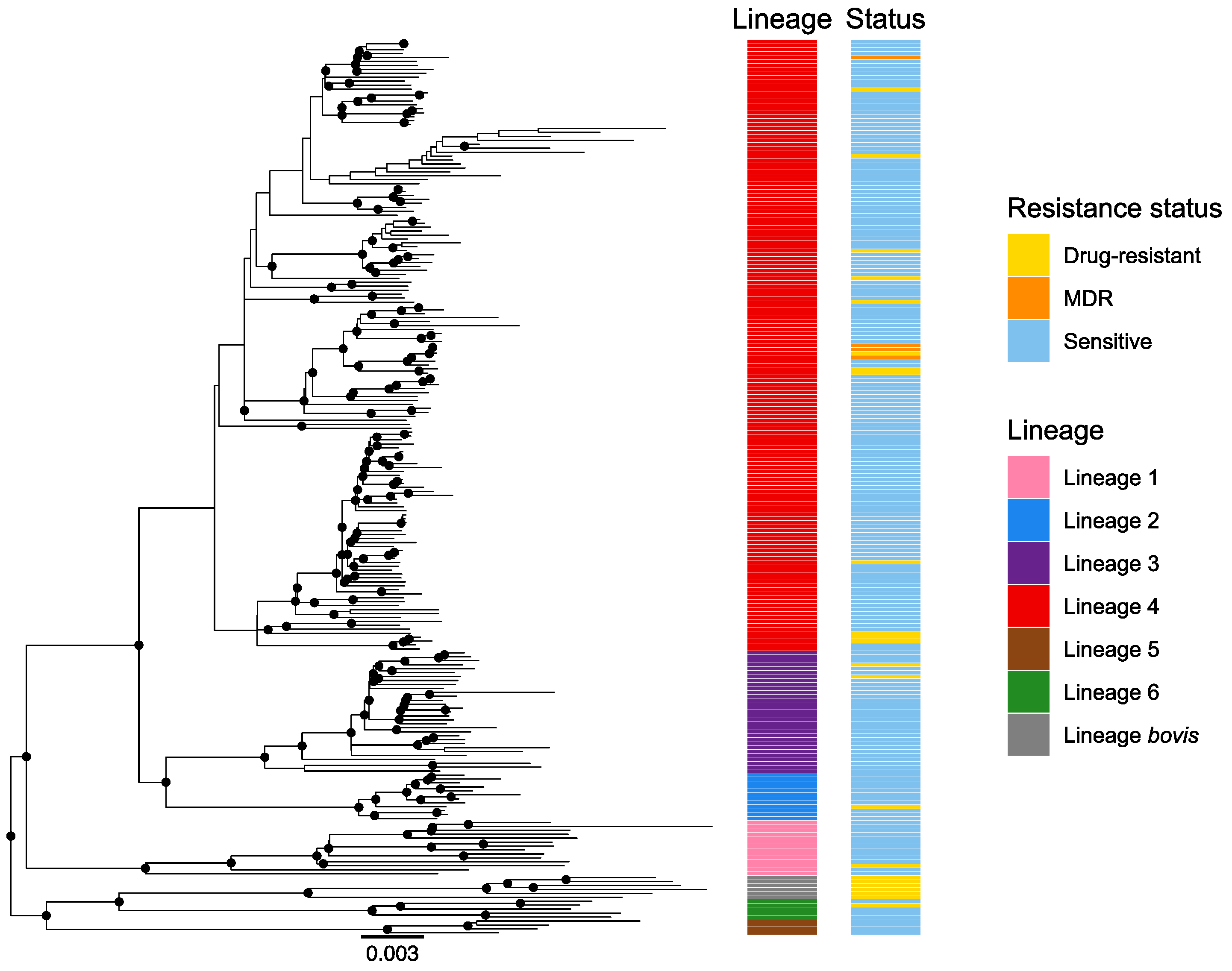 Microorganisms 10 01586 g001 Microorganisms 10 01586 g001