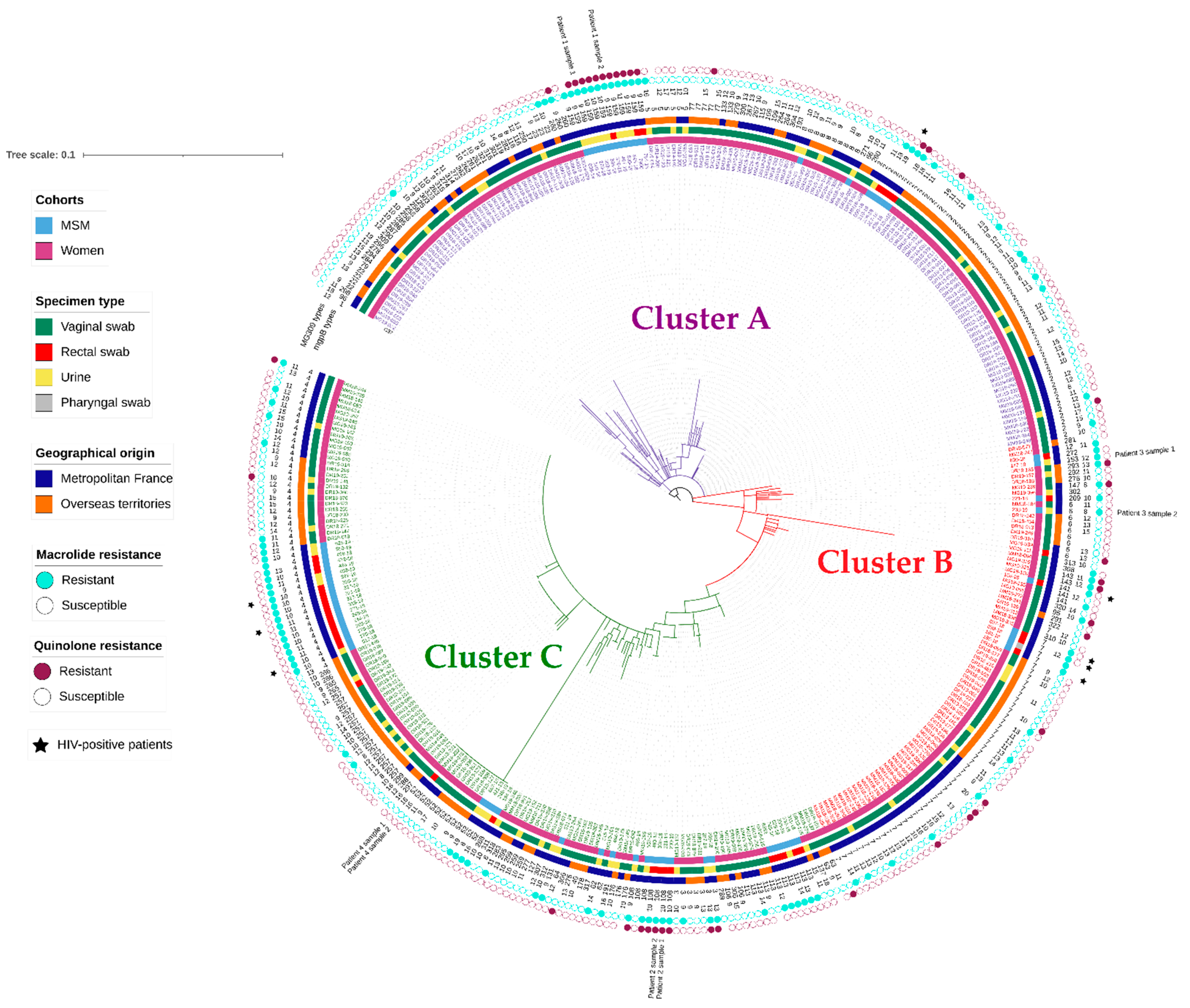 Microorganisms 10 01587 g001