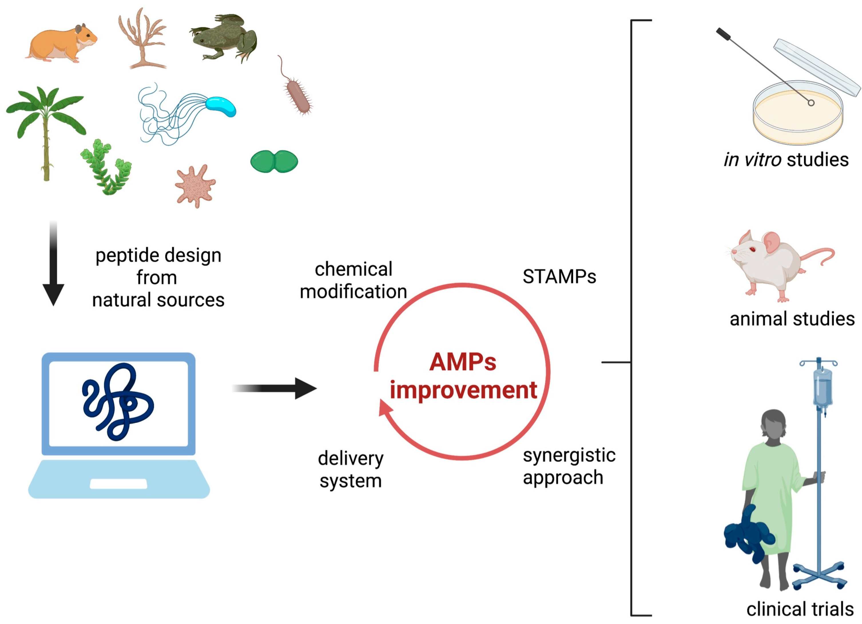 Microorganisms 10 01591 g003