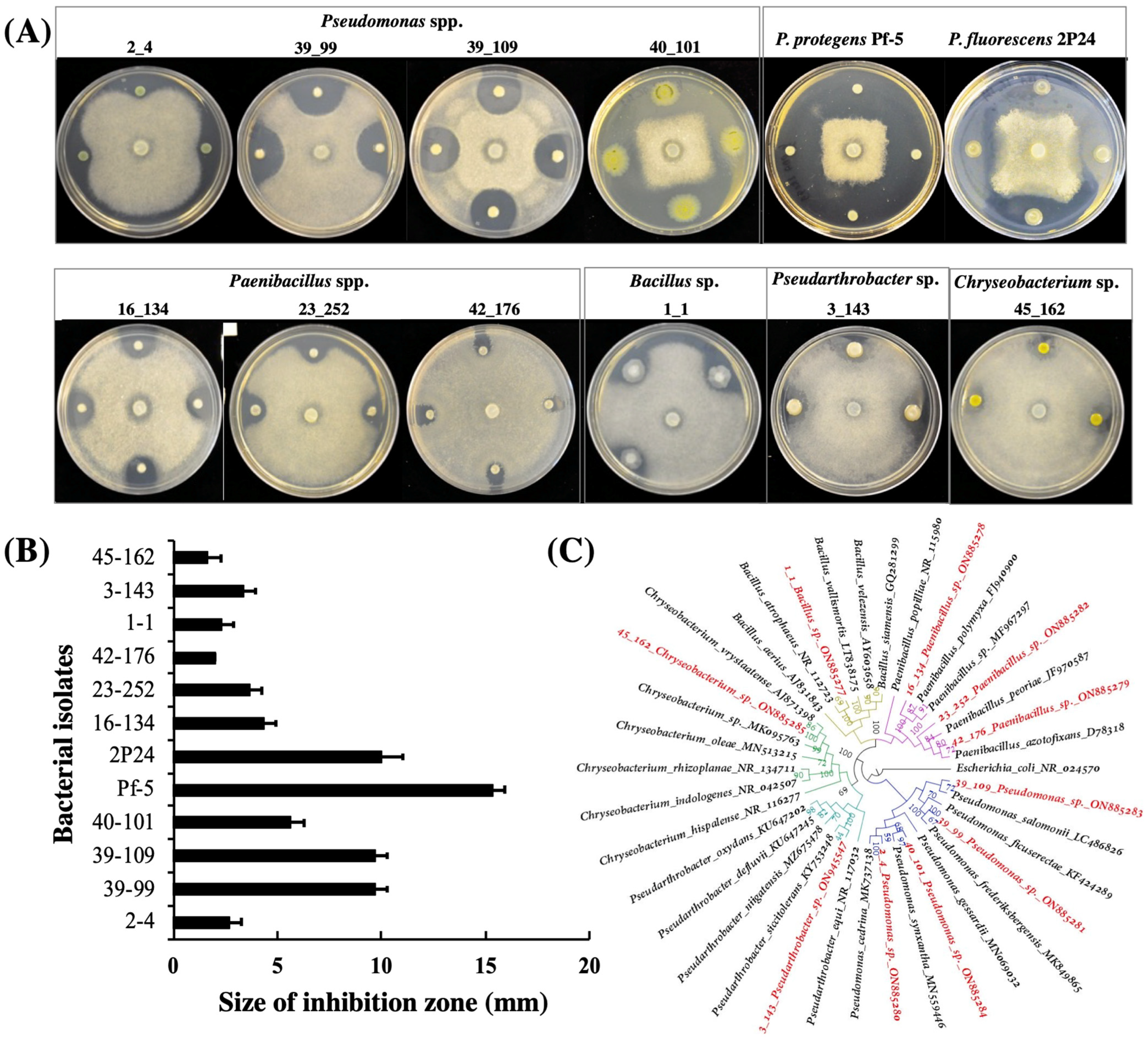 Microorganisms 10 01596 g001