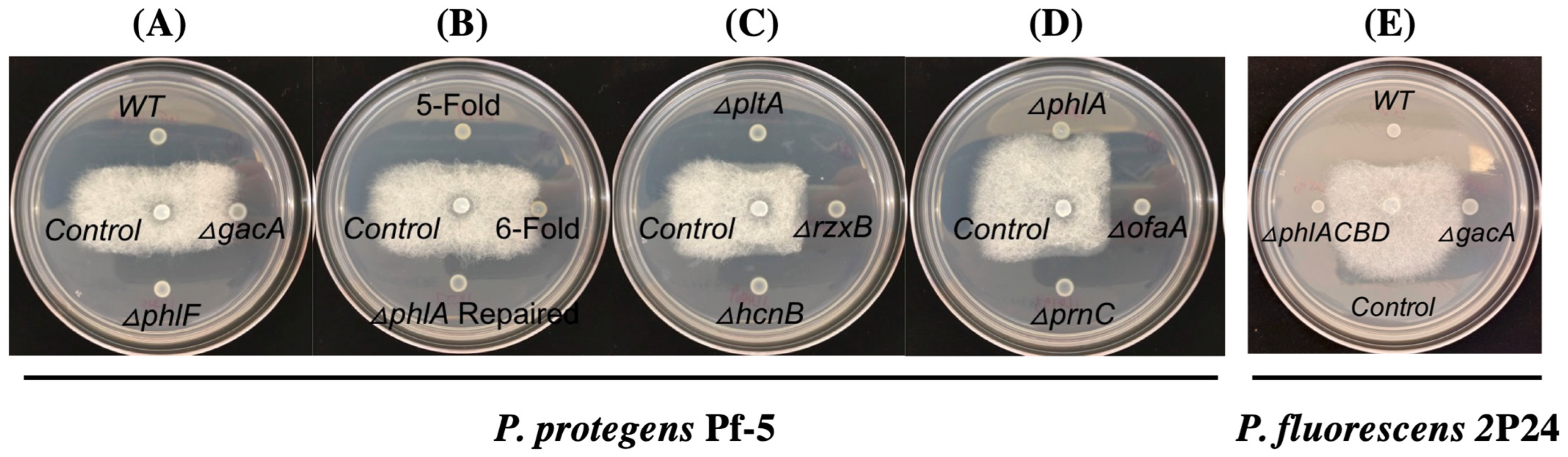 Microorganisms 10 01596 g002