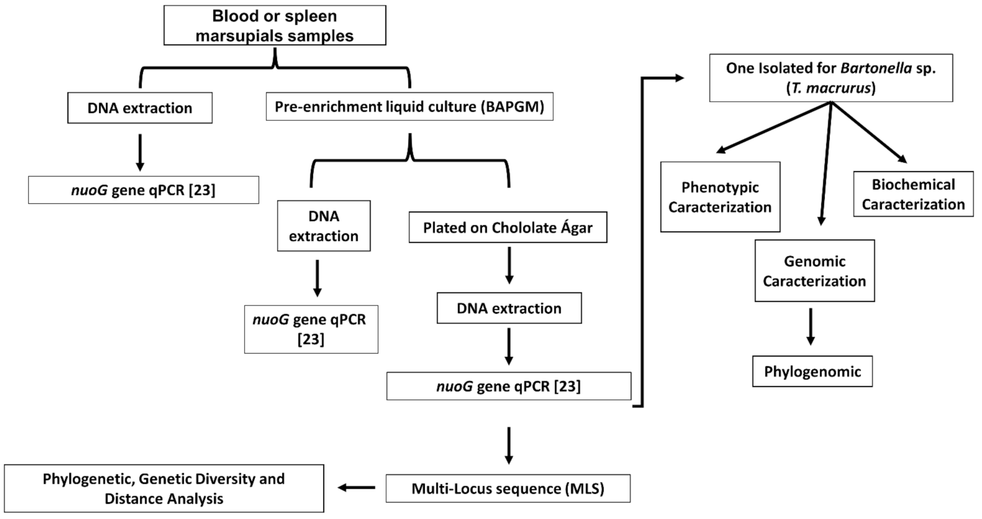 Microorganisms 10 01609 g001 Microorganisms 10 01609 g001