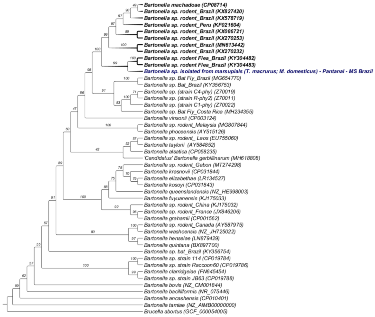 Microorganisms 10 01609 g002 Microorganisms 10 01609 g002