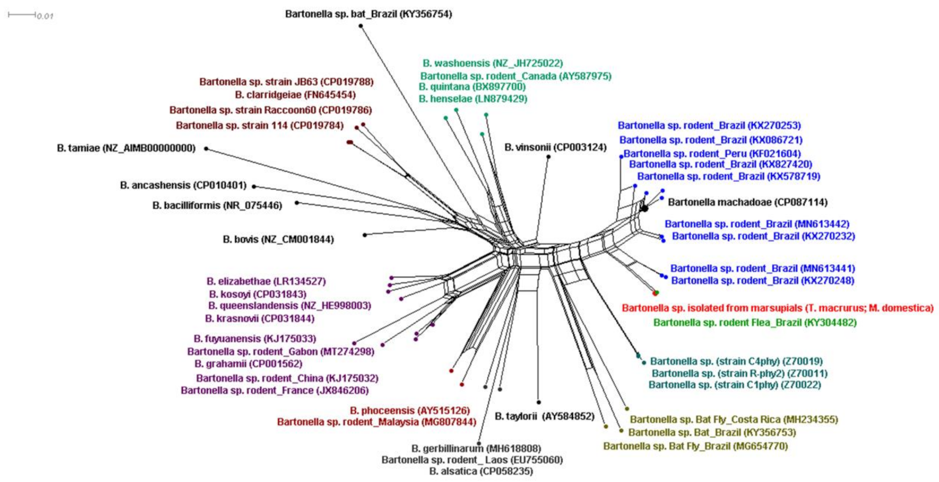Microorganisms 10 01609 g003 Microorganisms 10 01609 g003