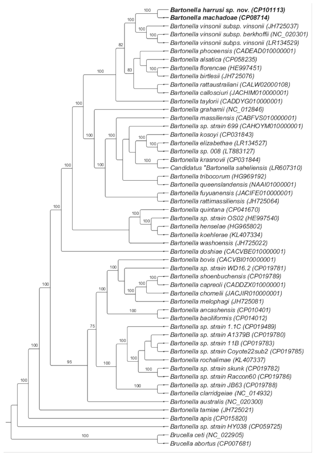 Microorganisms 10 01609 g008 Microorganisms 10 01609 g008