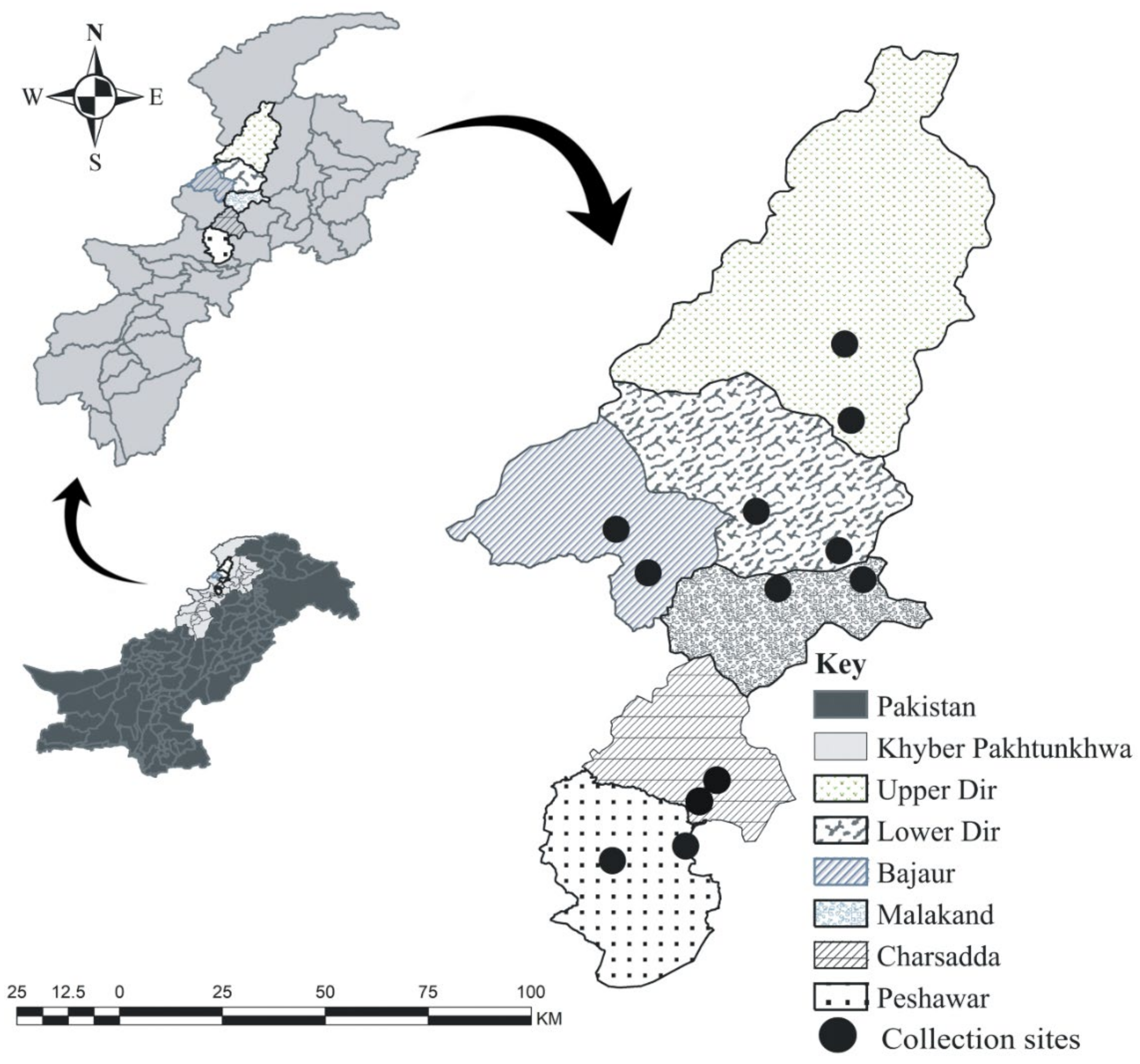 Microorganisms 10 01614 g001 550