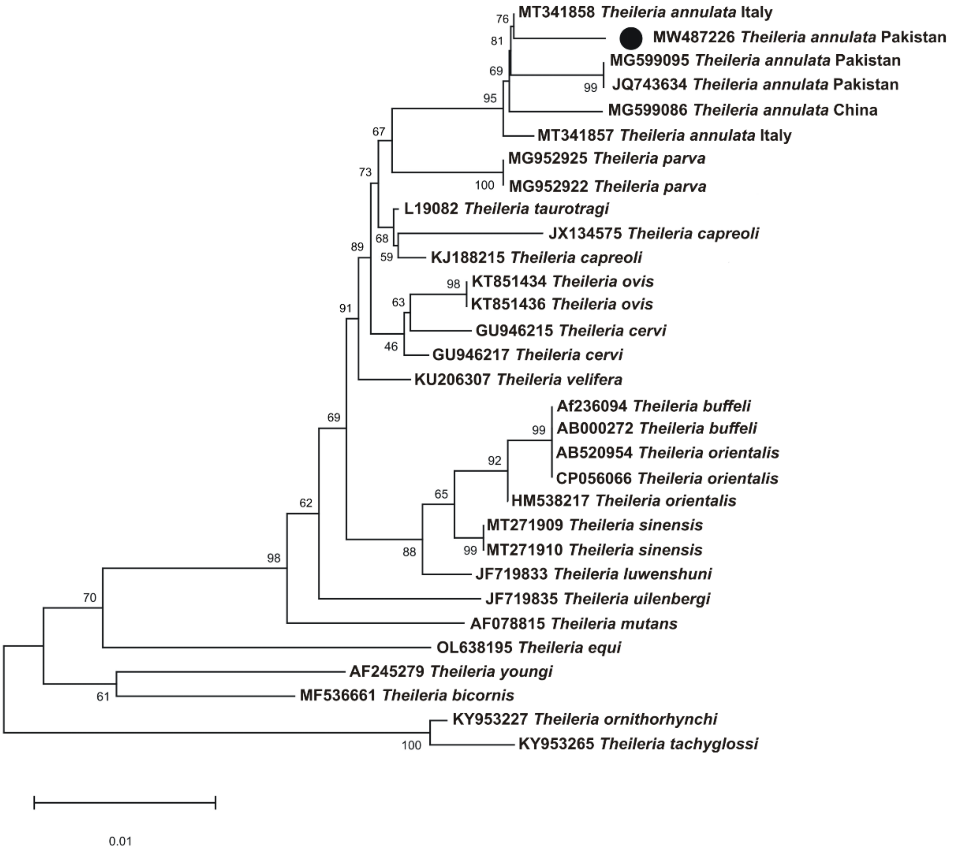 Microorganisms 10 01614 g002 550