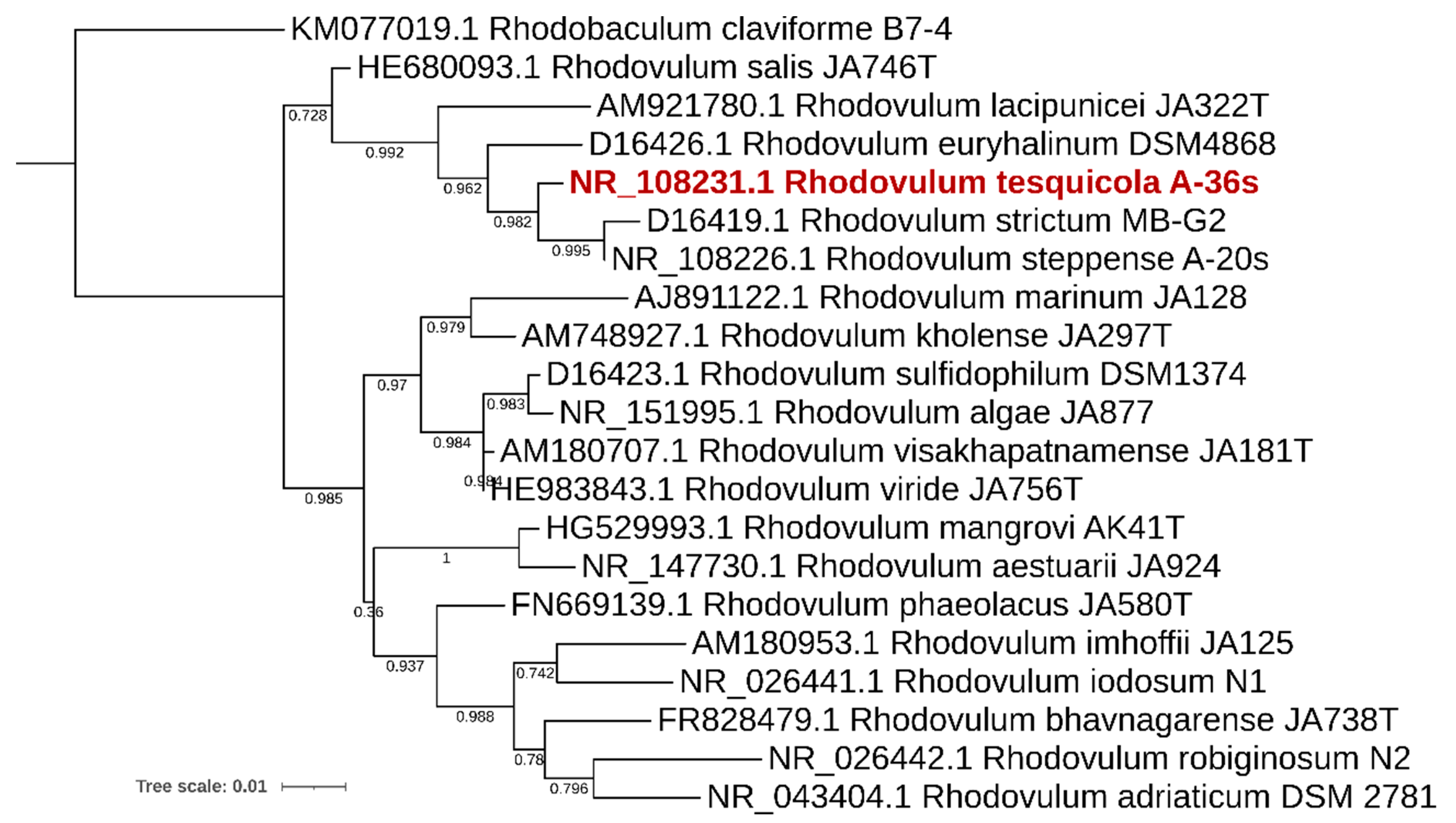 Microorganisms 10 01615 g001