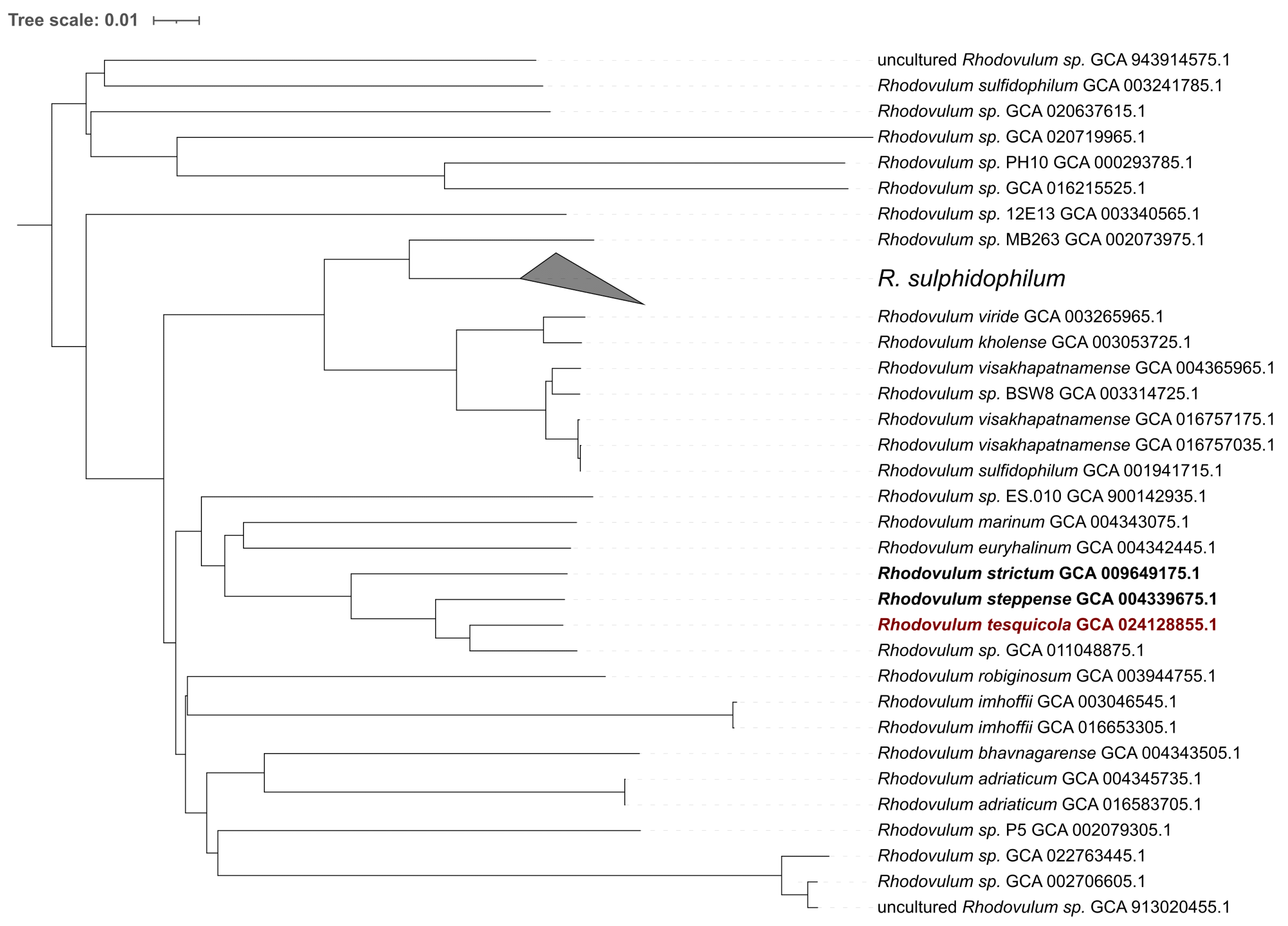 Microorganisms 10 01615 g002